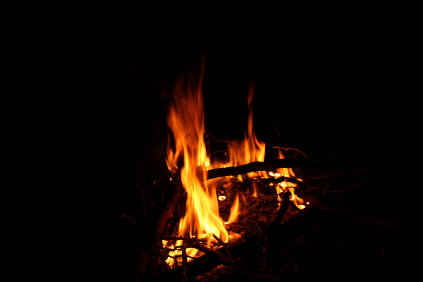Canon EOS 2000D (EOS Rebel T7 / EOS Kiss X90 / EOS 1500D) sample photo. Fire, campfire, flame photography