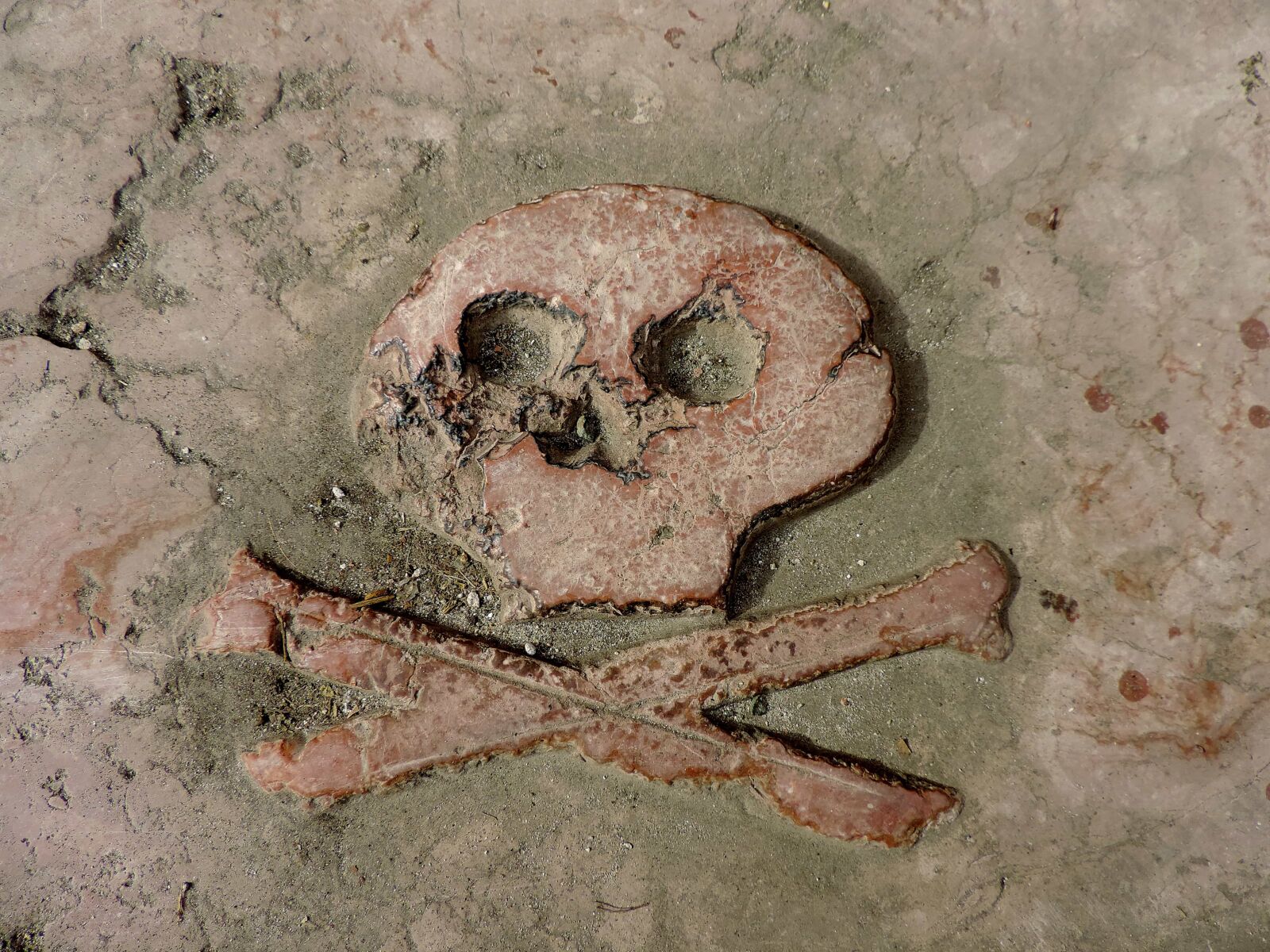 Nikon Coolpix P520 sample photo. Bone, medieval, skull, symbol photography