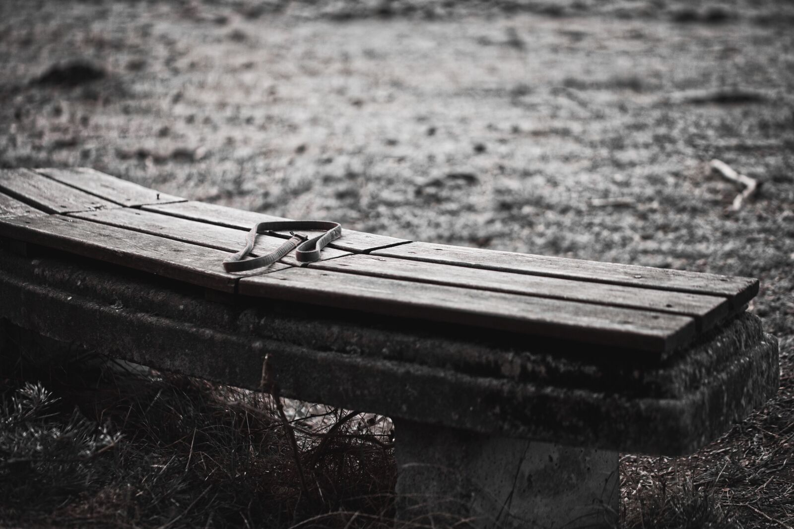 Canon EOS 5D sample photo. Bank, seat, moor photography