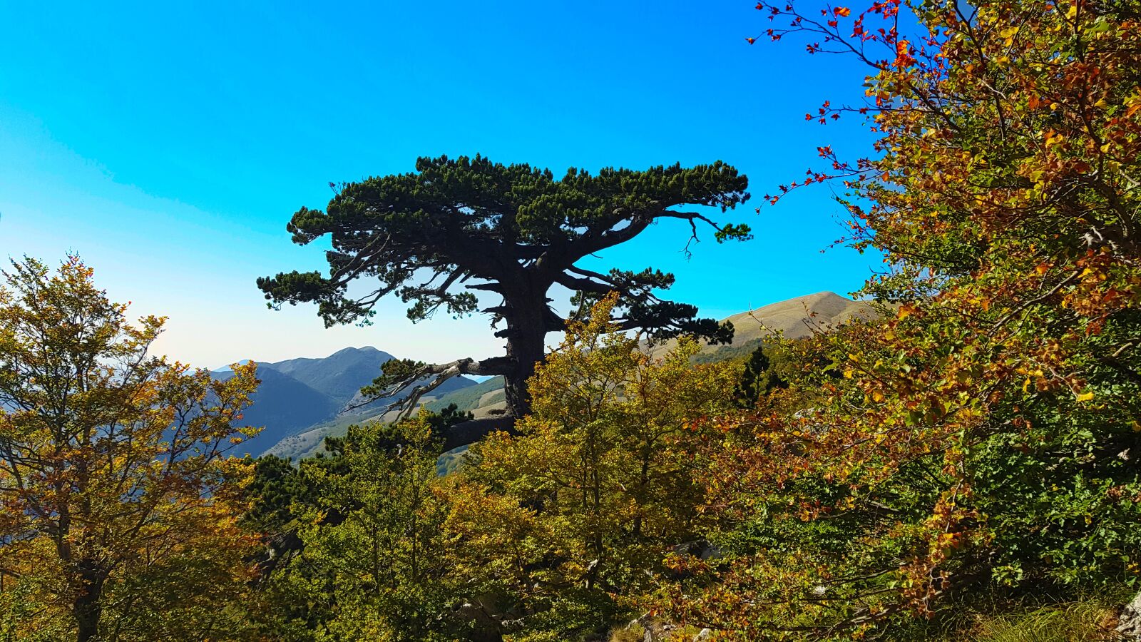 Samsung SM-G955F sample photo. Pollino national park, monetti photography