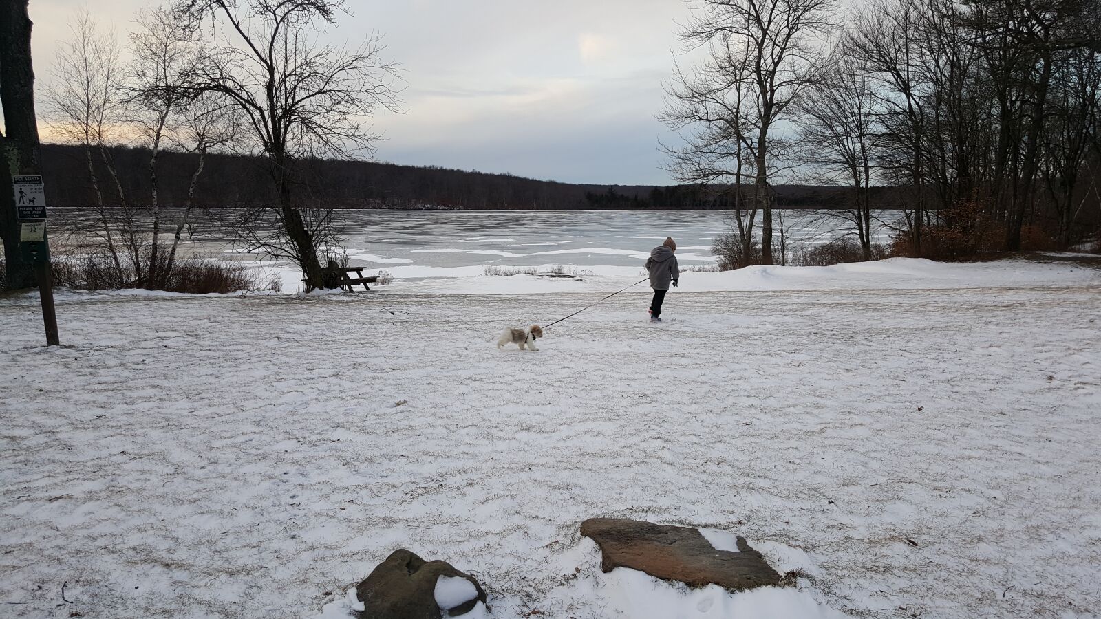 Samsung Galaxy Note5 sample photo. Winter, lake, dog photography