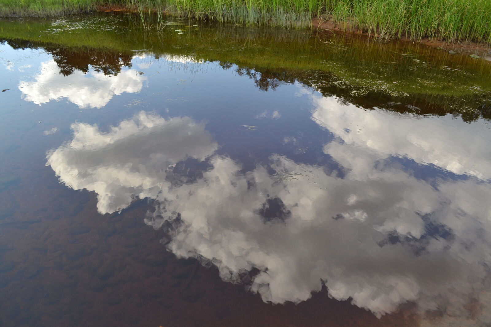 Nikon D3100 sample photo. Clouds, water photography