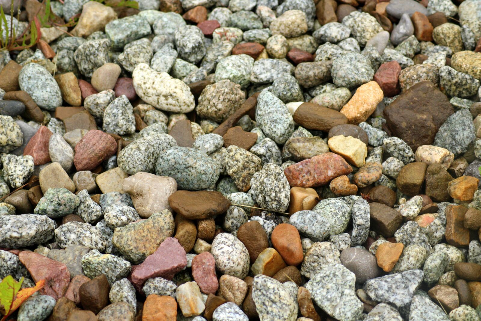 Canon EOS 1200D (EOS Rebel T5 / EOS Kiss X70 / EOS Hi) sample photo. Pebbles, nature, the background photography