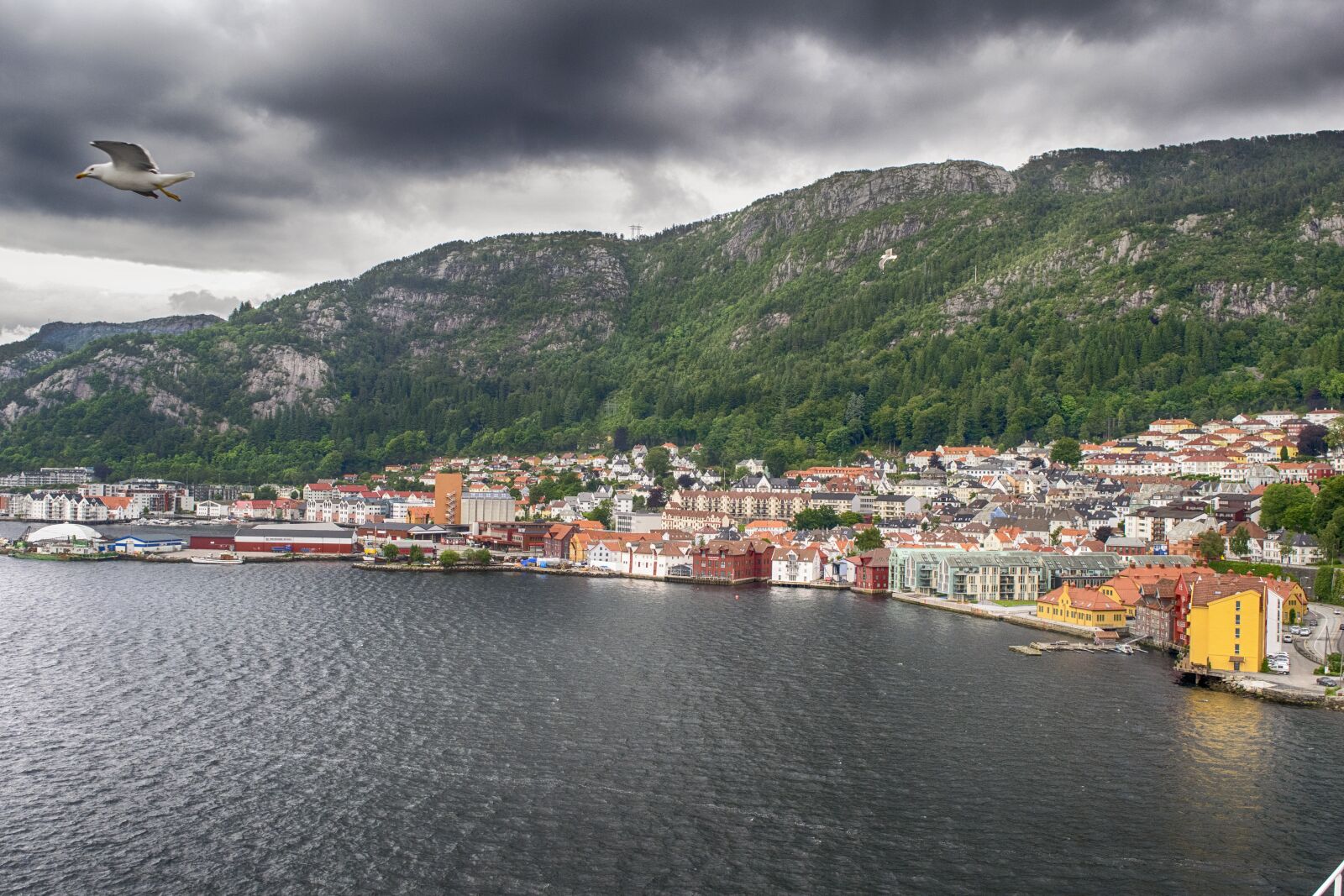Nikon D3300 sample photo. Landscape, bergen, birds photography
