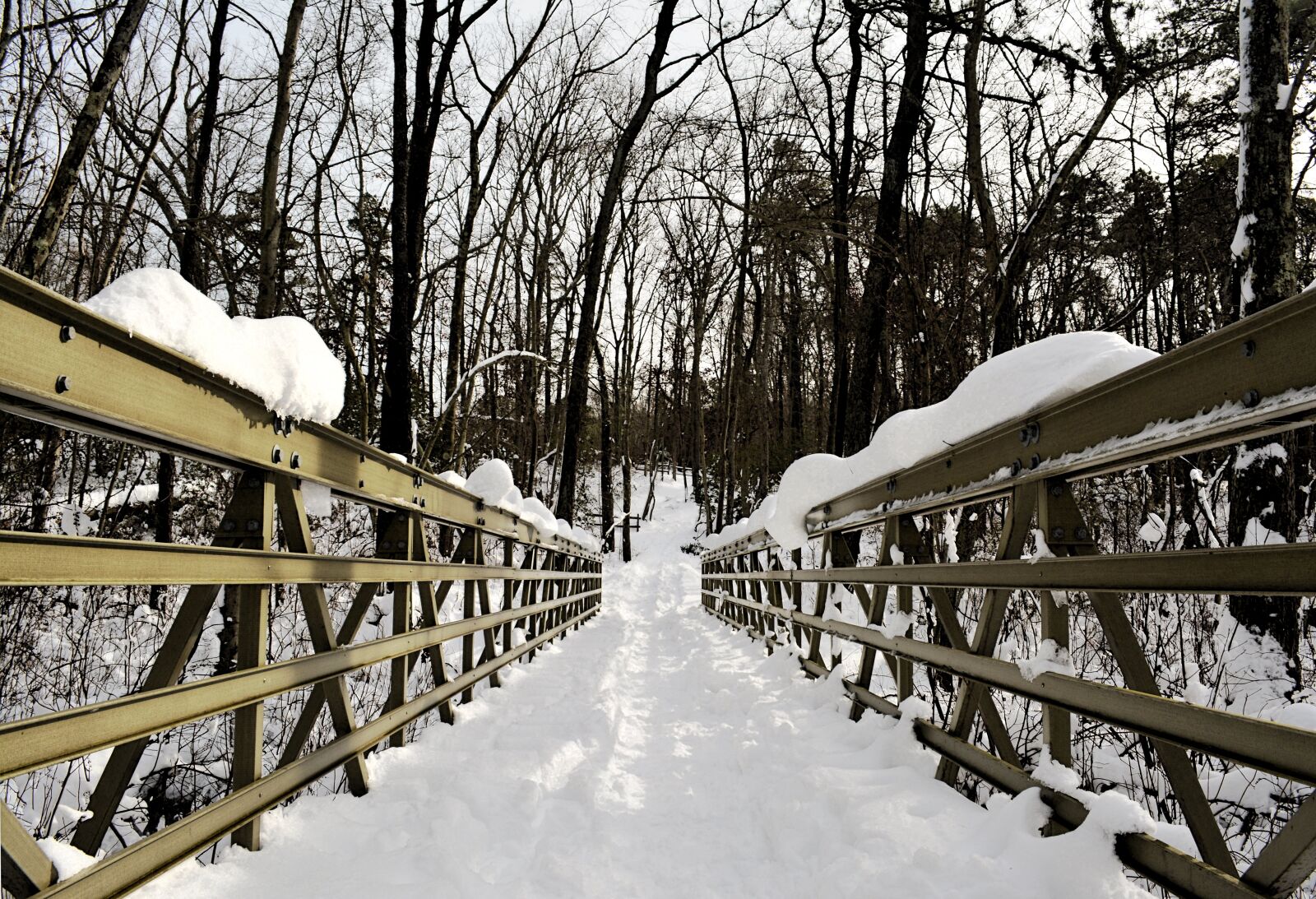 Nikon D5200 sample photo. Bridge, snow, trees photography