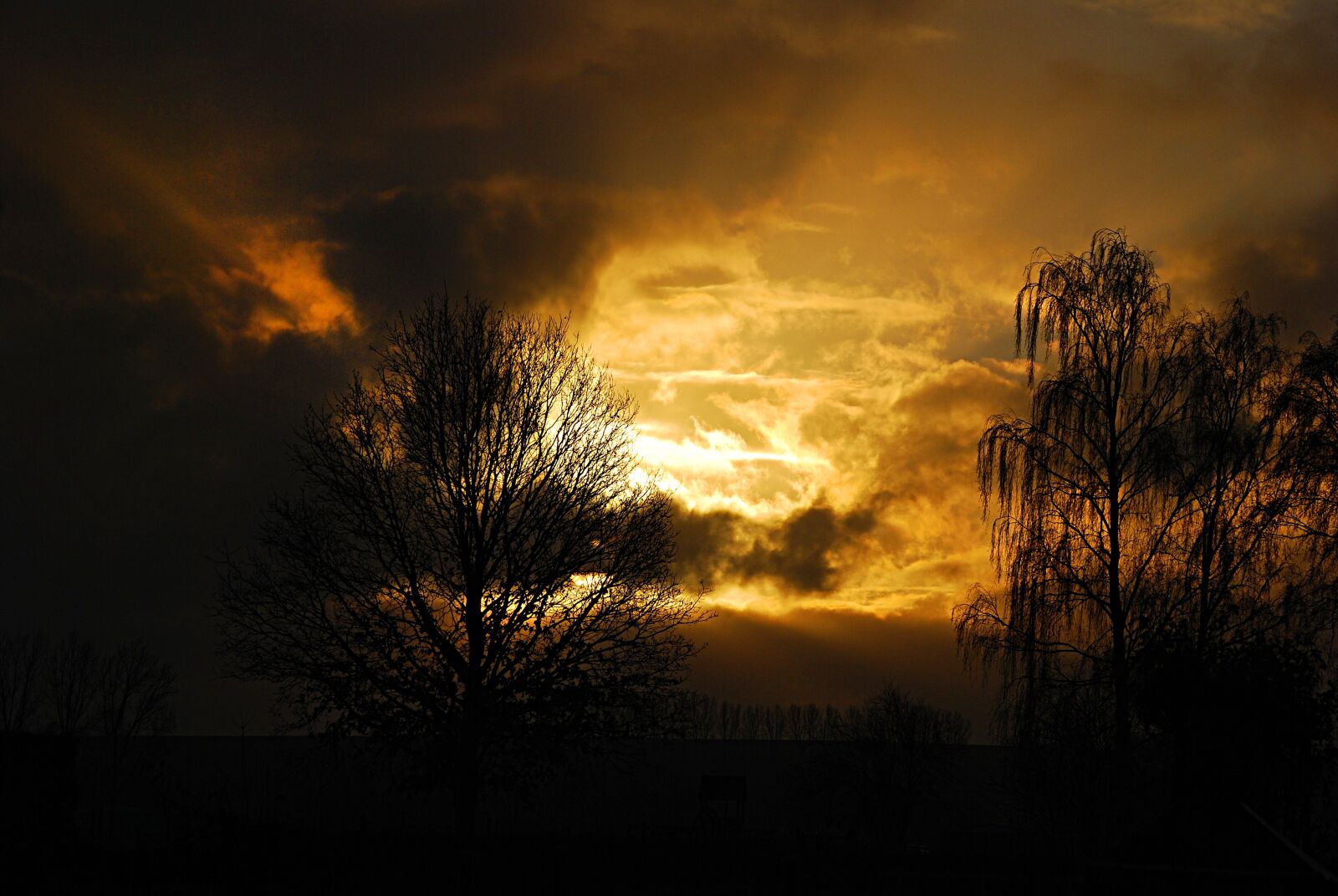Nikon D80 sample photo. Sunset, dawn, nature photography