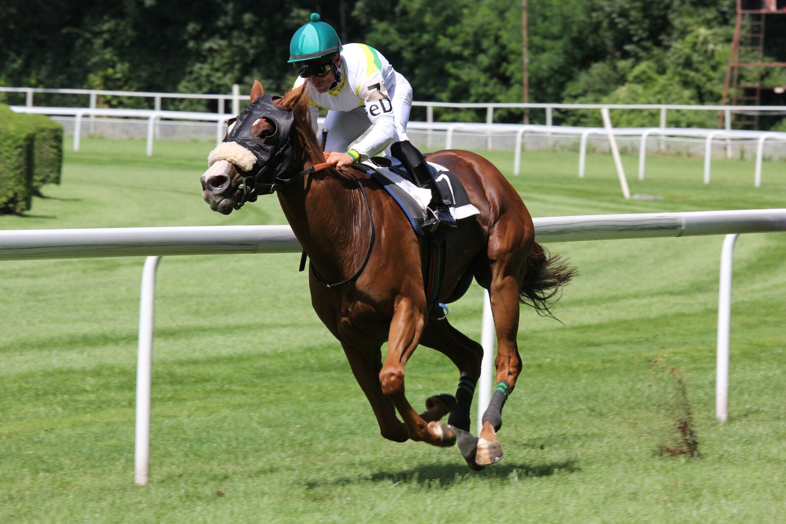 Canon EF 70-200mm F4L IS USM sample photo. Action, athlete, competition, course photography