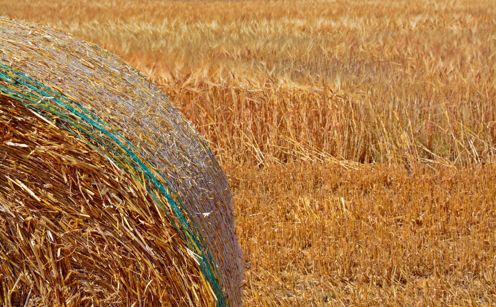 Nikon D5200 sample photo. Straw bales, cereals, barley photography