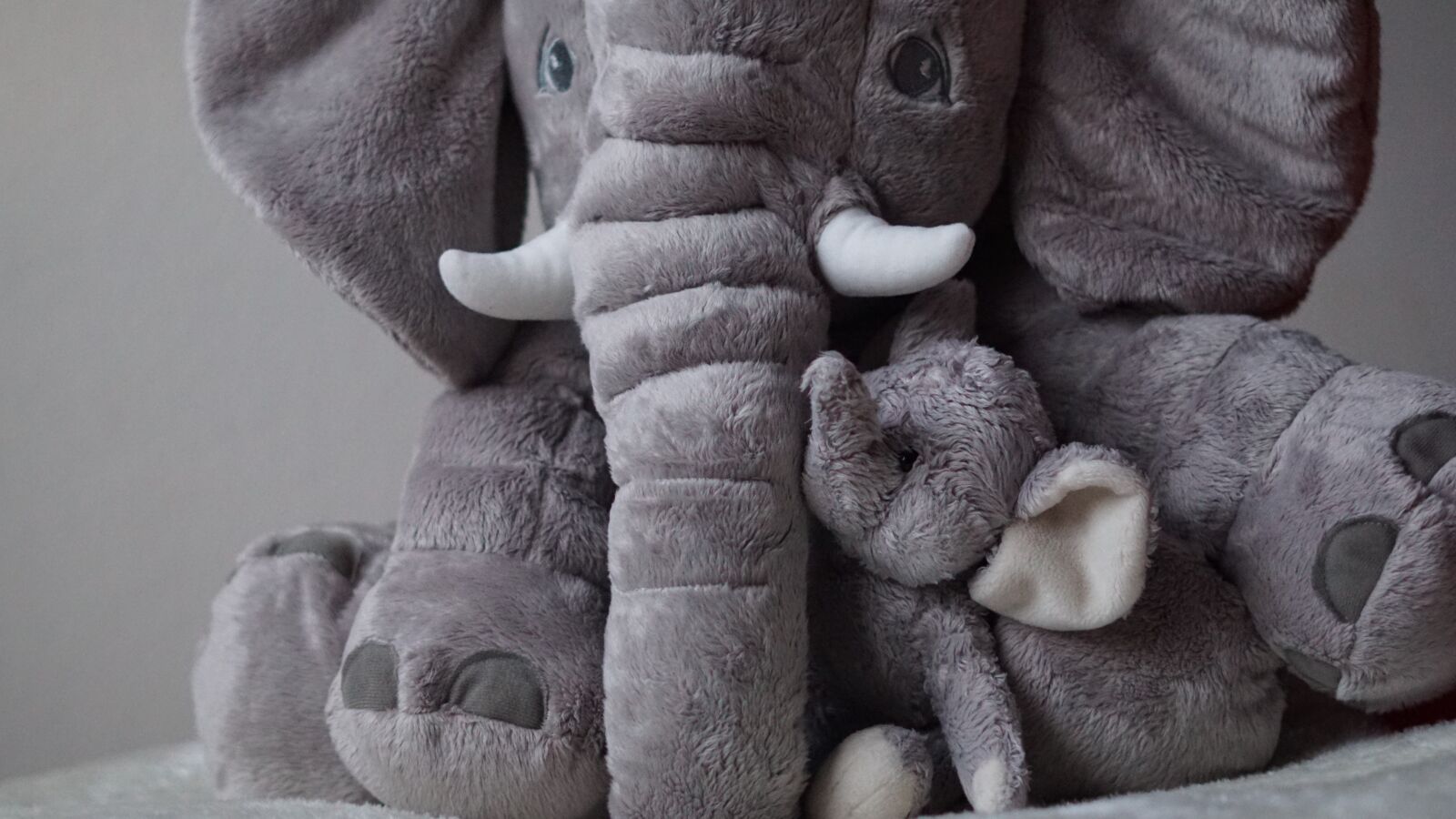 Sony FE 50mm F1.8 sample photo. Background, stuffed animals, elephant photography