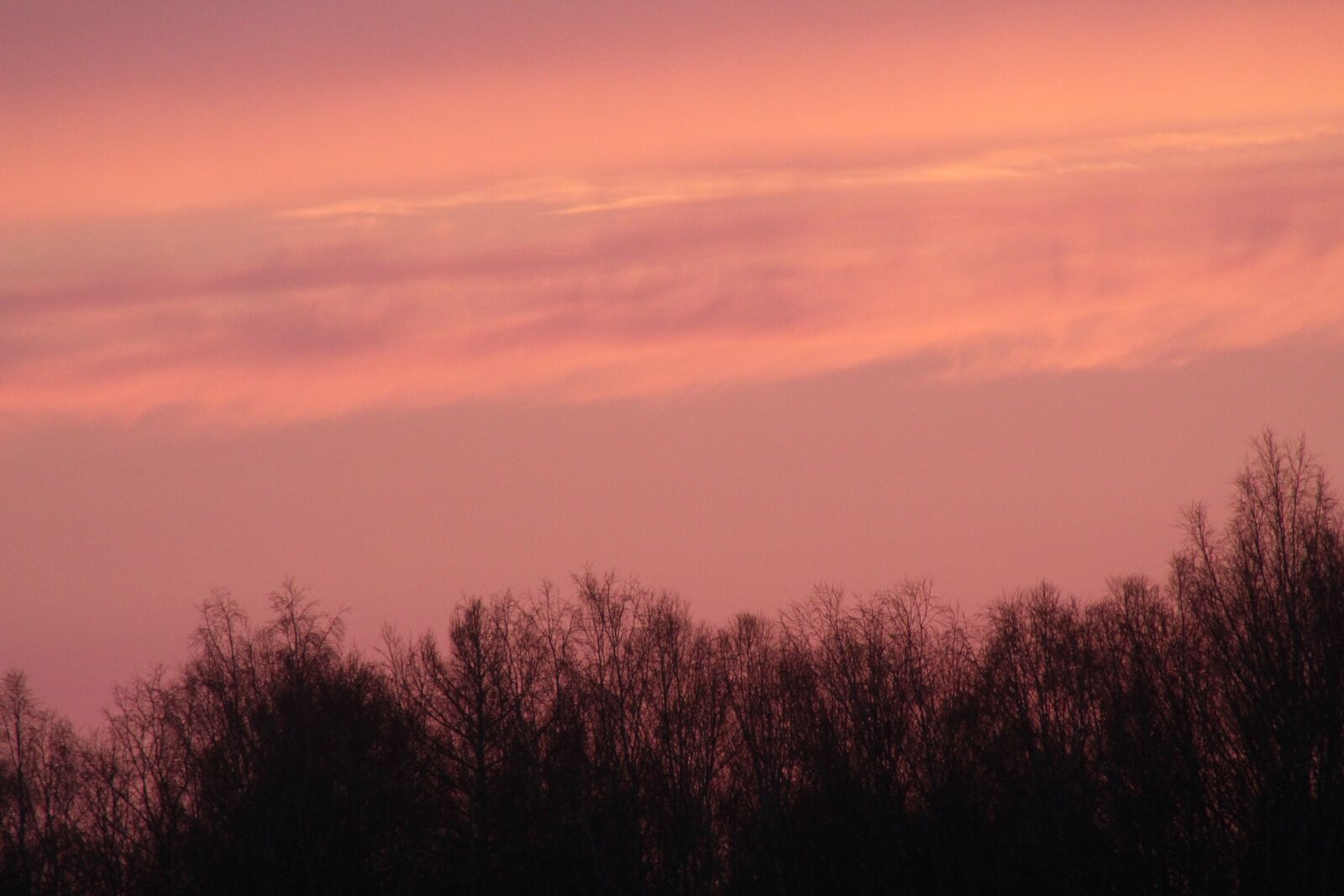 Canon EF 75-300mm f/4-5.6 USM sample photo. Sunset, spring, pink photography
