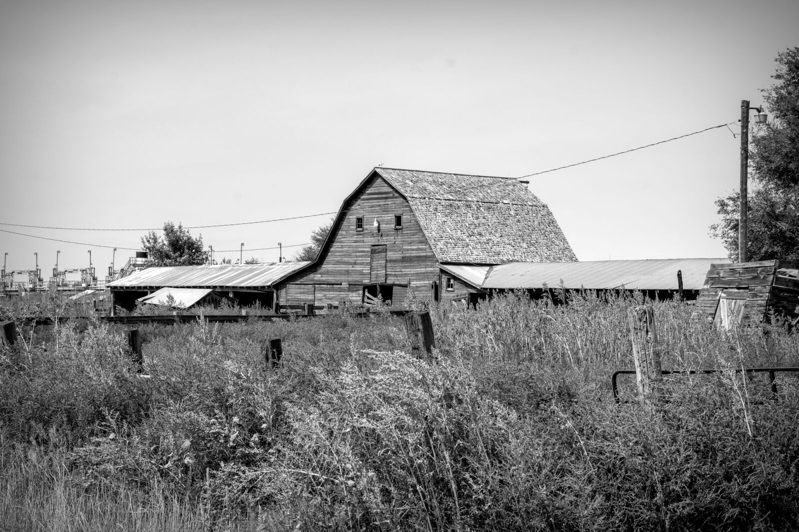 Nikon D850 sample photo. Barn, building, structure photography