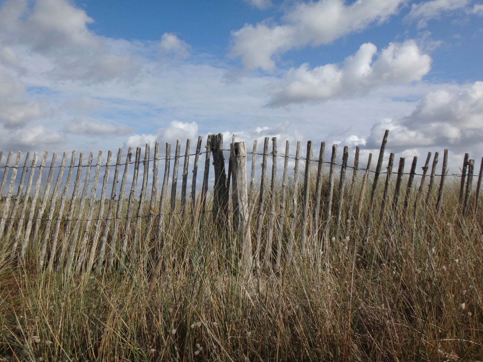 Sony Cyber-shot DSC-TX30 sample photo. Nature, sky, landscape photography