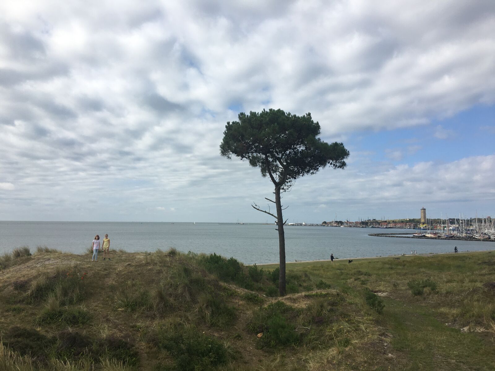 Apple iPhone 6s sample photo. Tree, sea, clouds photography