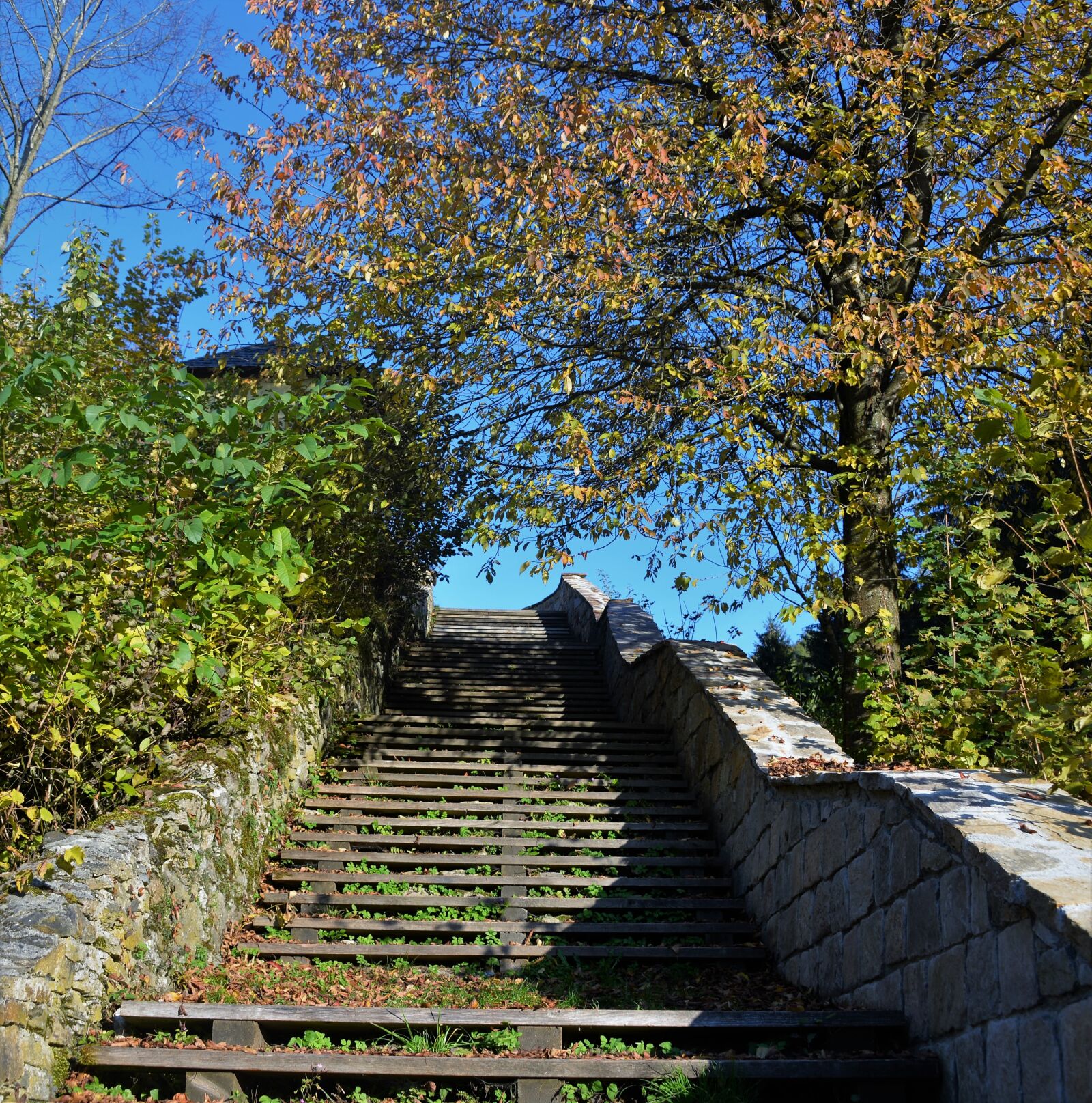 Nikon D610 sample photo. Staircase, wood stairs, emergence photography