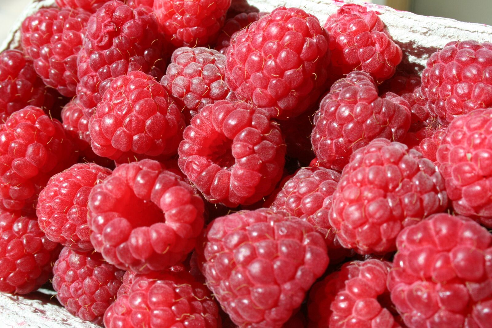 Canon EOS 350D (EOS Digital Rebel XT / EOS Kiss Digital N) sample photo. Raspberry, dessert, fruit photography