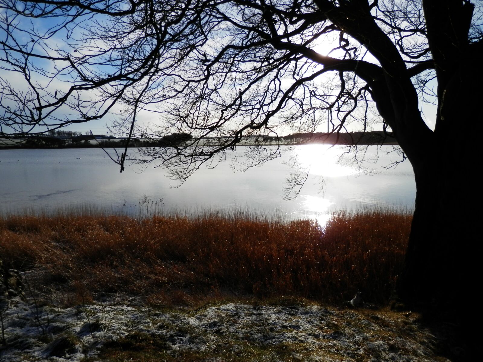 Olympus SZ-14 sample photo. Gelly loch, loch, lake photography