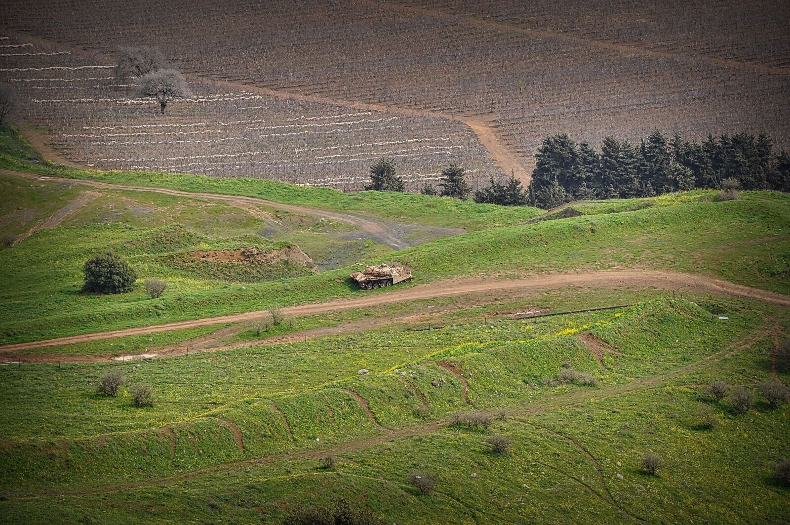 Nikon D5000 sample photo. Israel, golan heights, judea photography