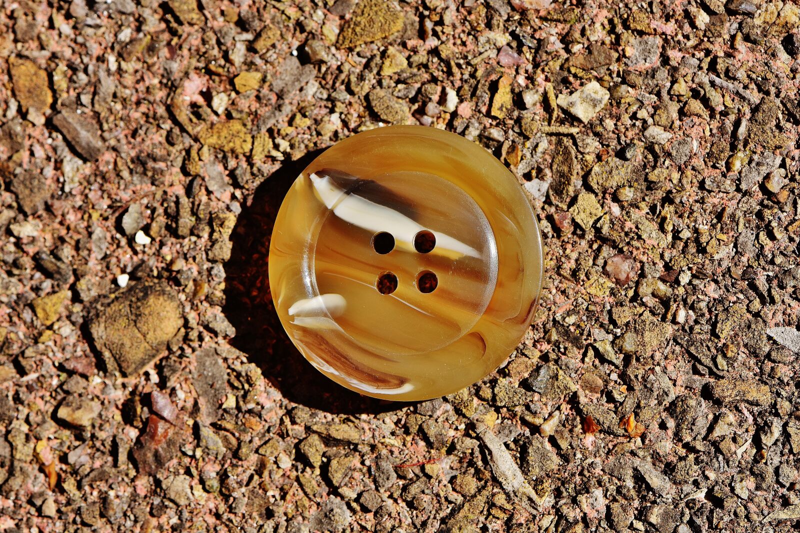 Nikon D7200 sample photo. Button, 4 holes, brown photography