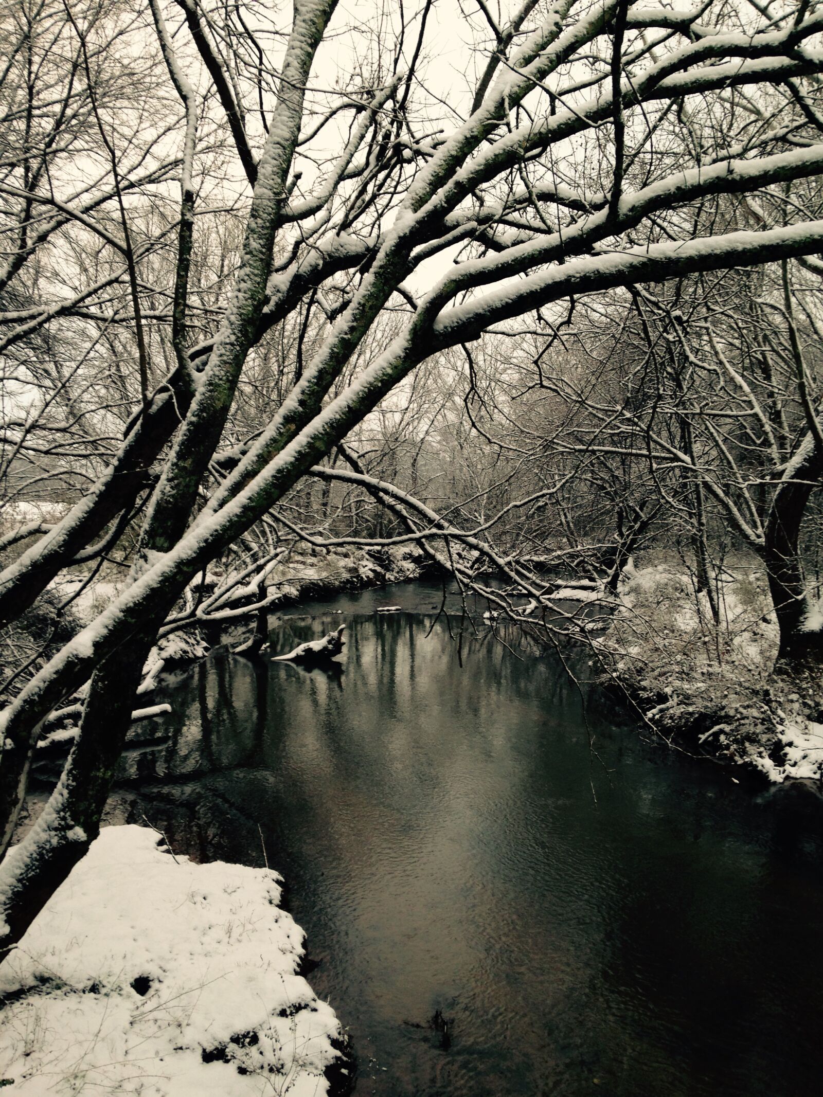 iPhone 5c back camera 4.12mm f/2.4 sample photo. Winter, wonderland, outdoors photography