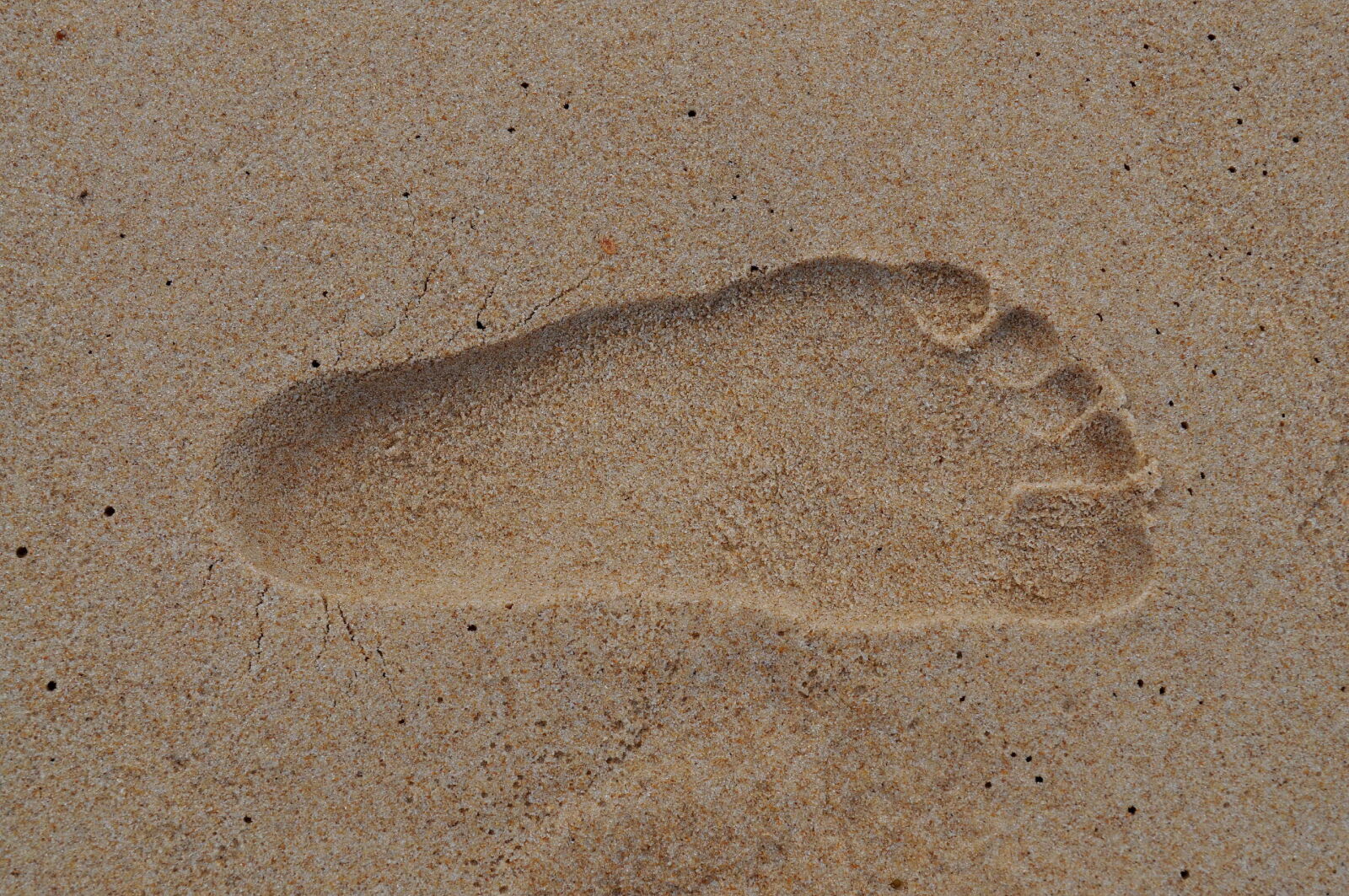 Nikon D5000 sample photo. Footprint, wet, sand photography