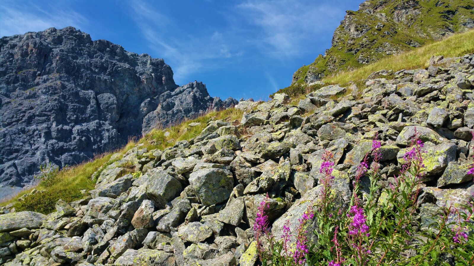 Samsung Galaxy Note4 sample photo. Mountains, summer, switzerland photography