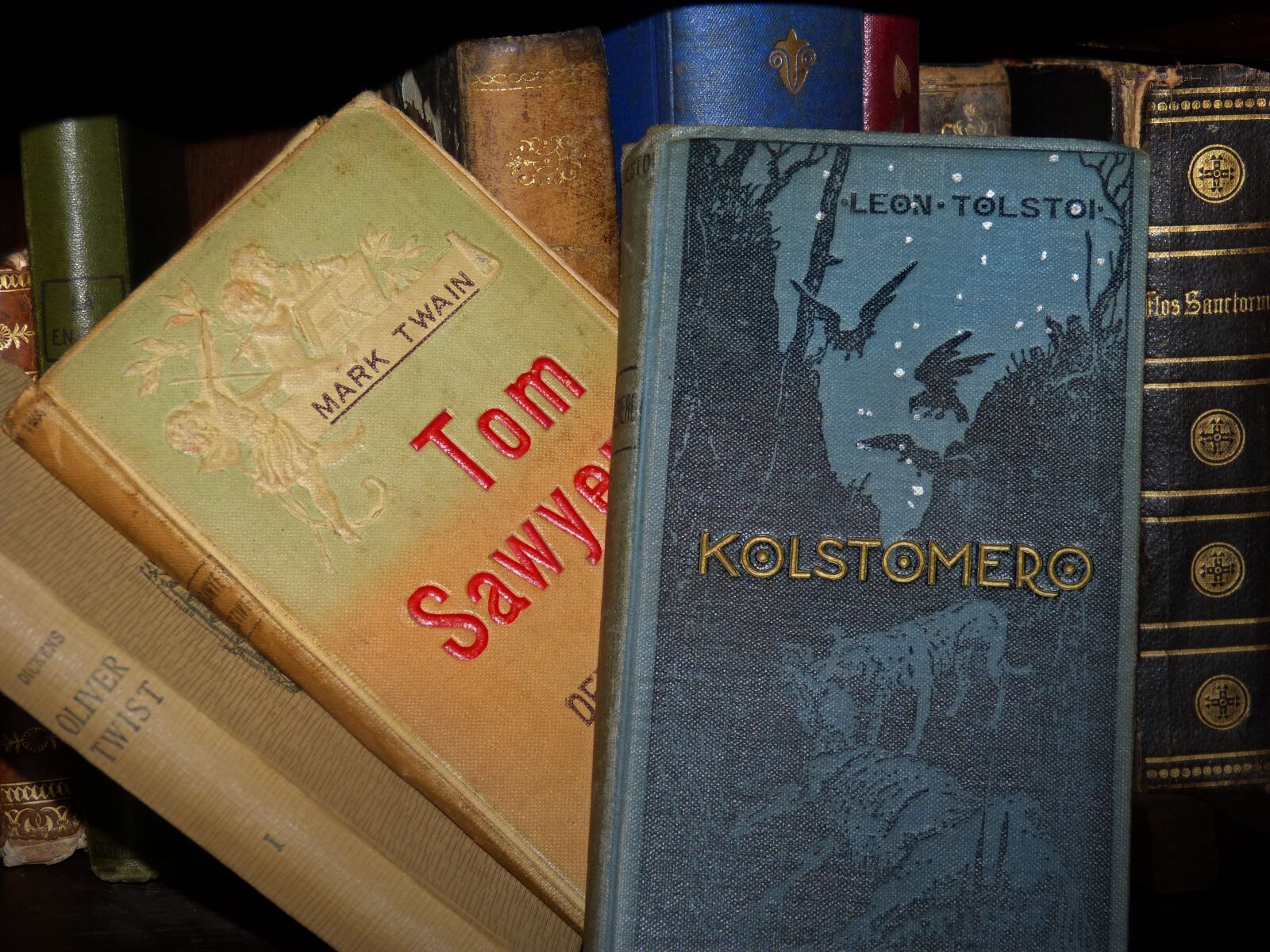 Panasonic DMC-FZ62 sample photo. Books, old books, classics photography