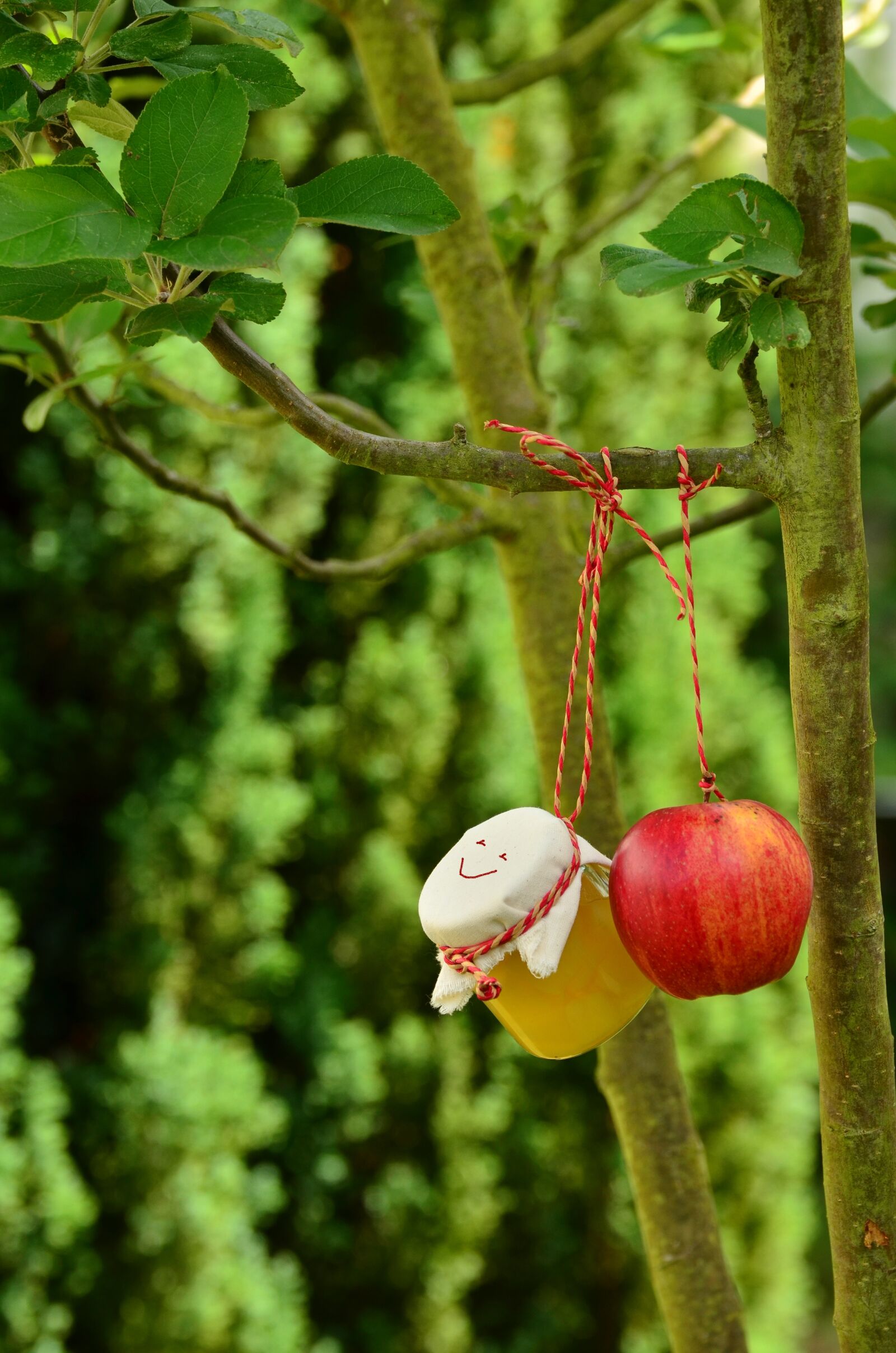 Nikon D5100 sample photo. Apple tree, apple, apple photography