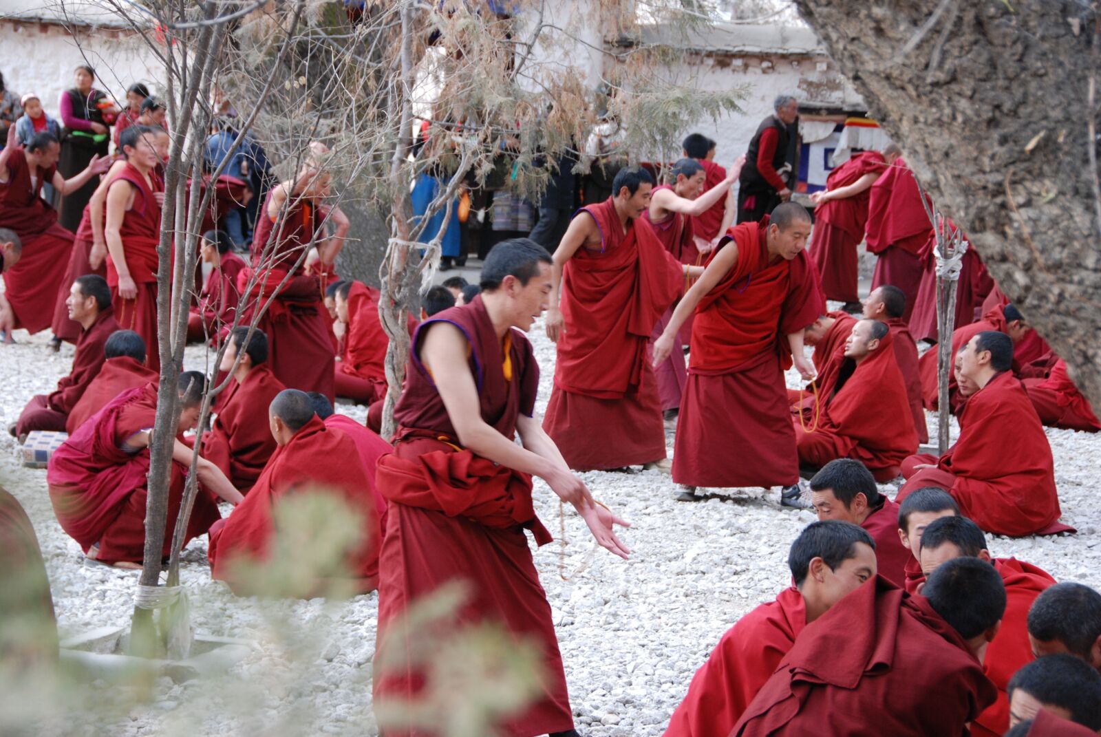 Nikon D80 sample photo. Tibet, monks, training photography