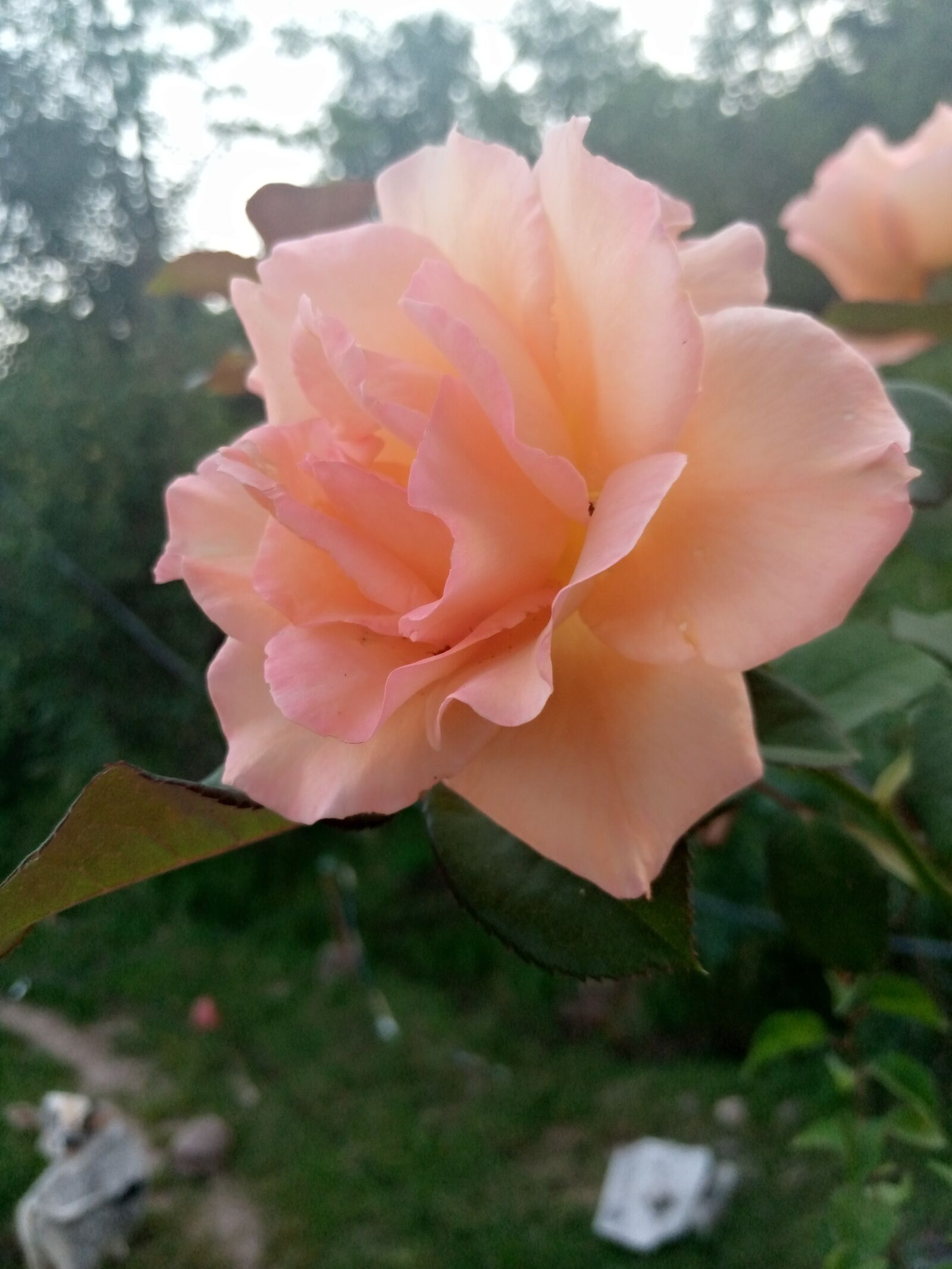 TECNO MOBILE LIMITED TECNO KC2 sample photo