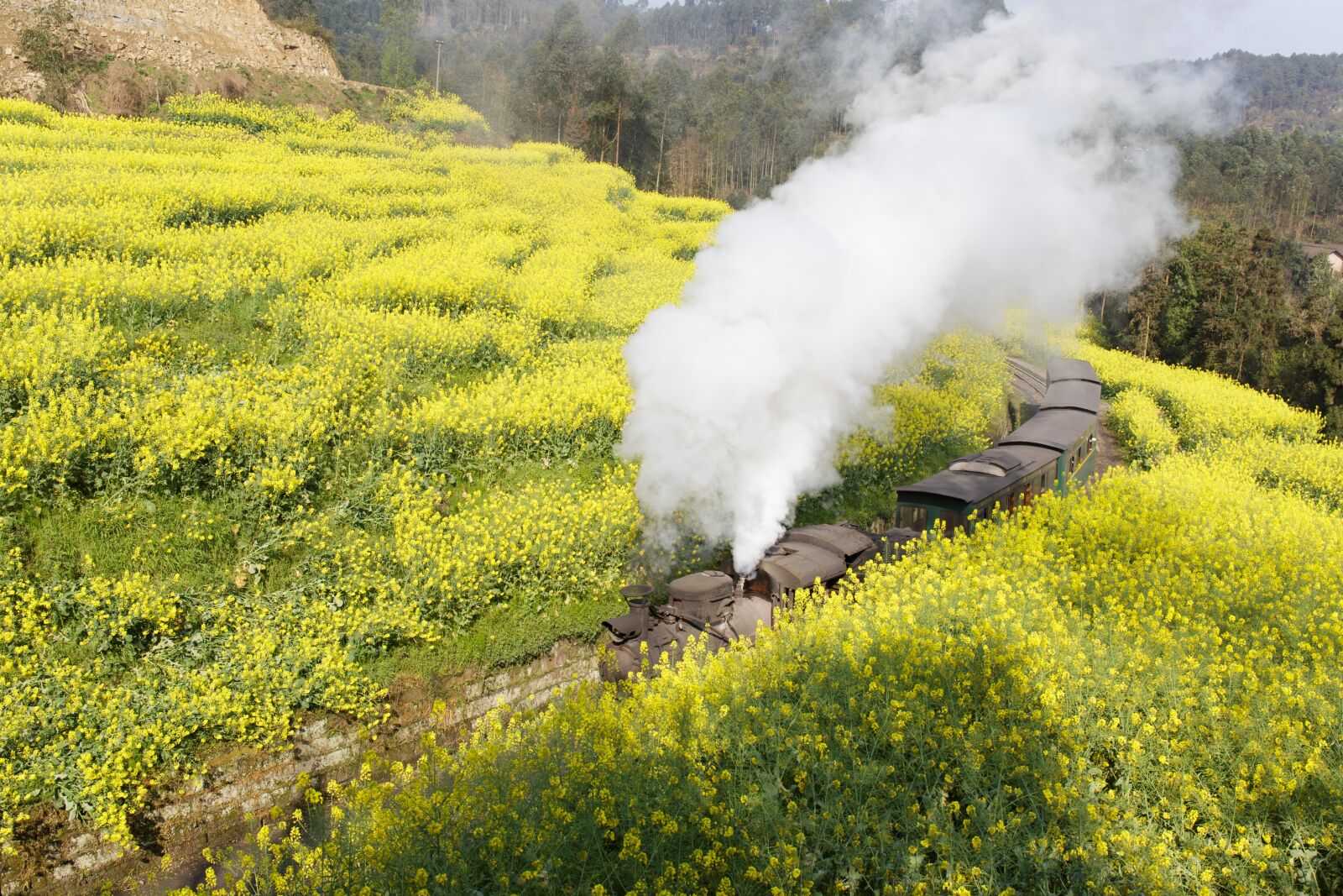 Canon EF 24-70mm F4L IS USM sample photo. Jia yang, train, landscape photography