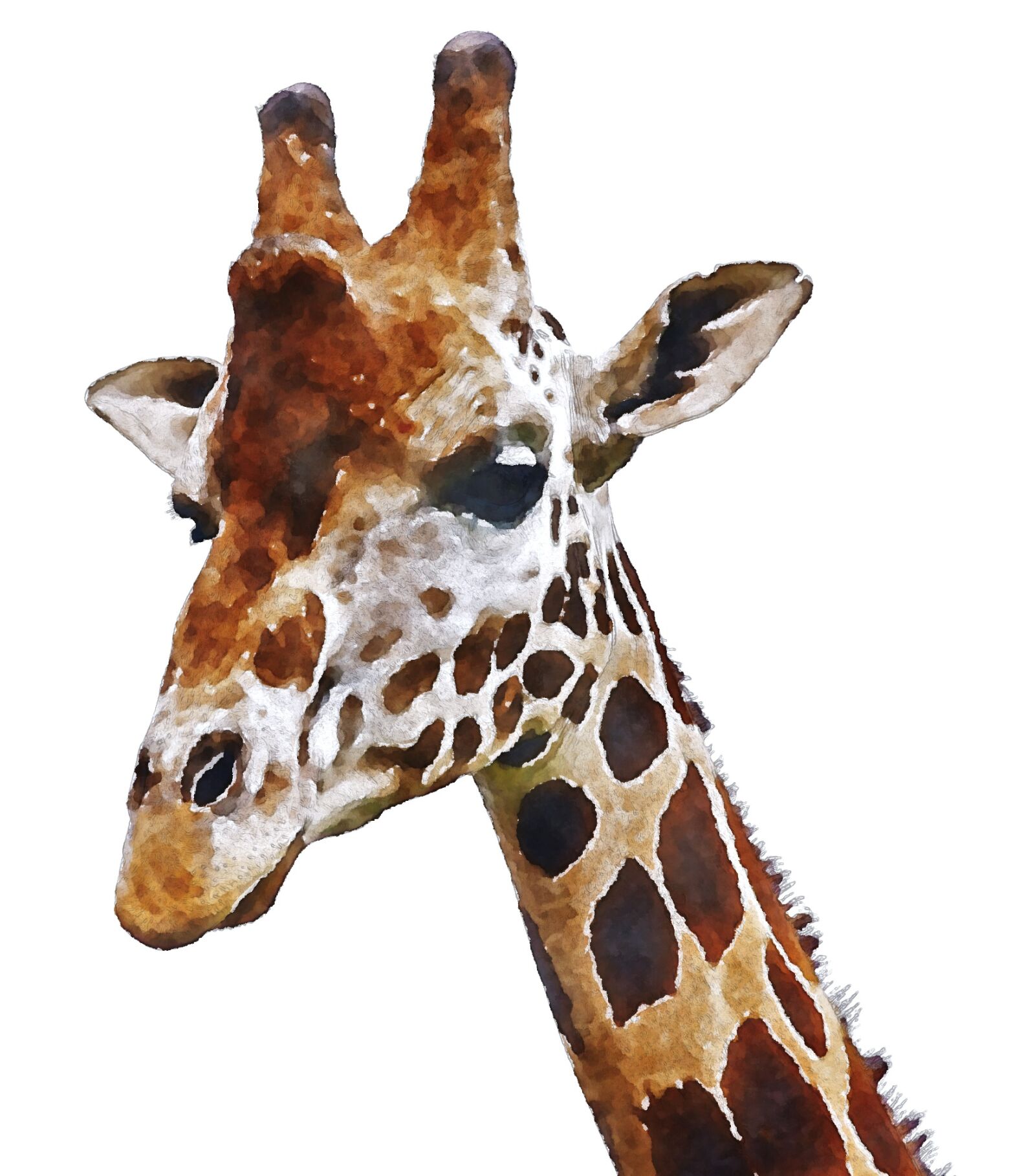 Sony SLT-A33 sample photo. Giraffe, africa, watercolor photography