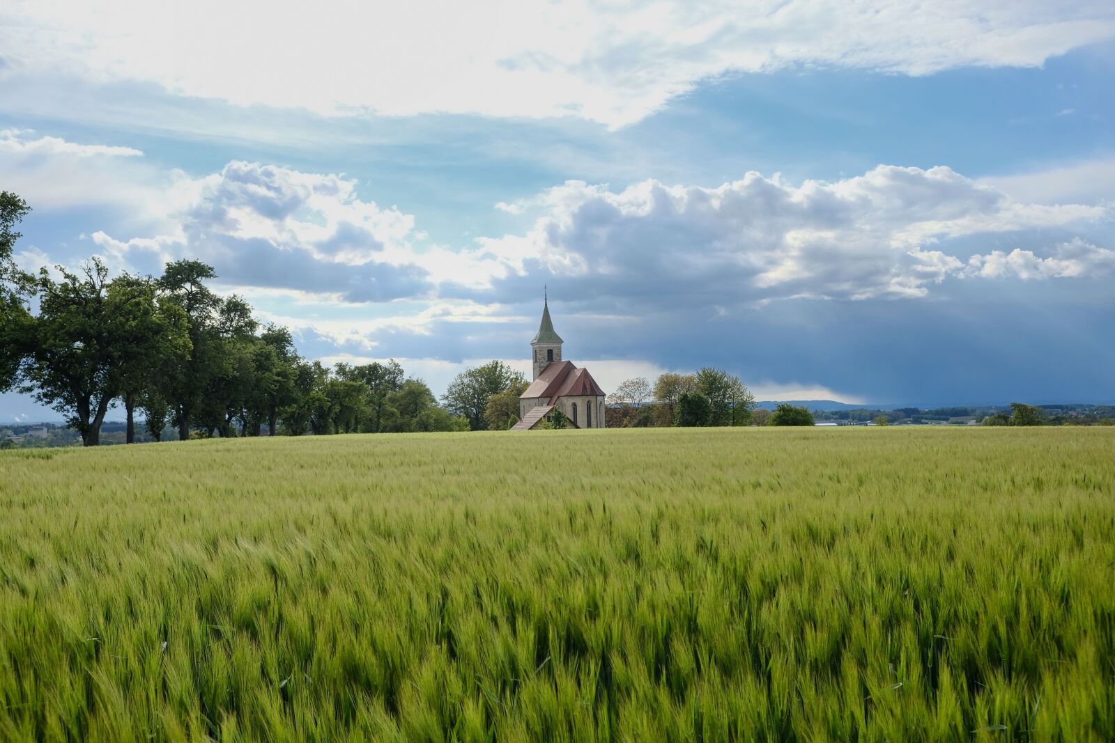 Fujifilm X-T20 sample photo. Nature, landscape, spring photography