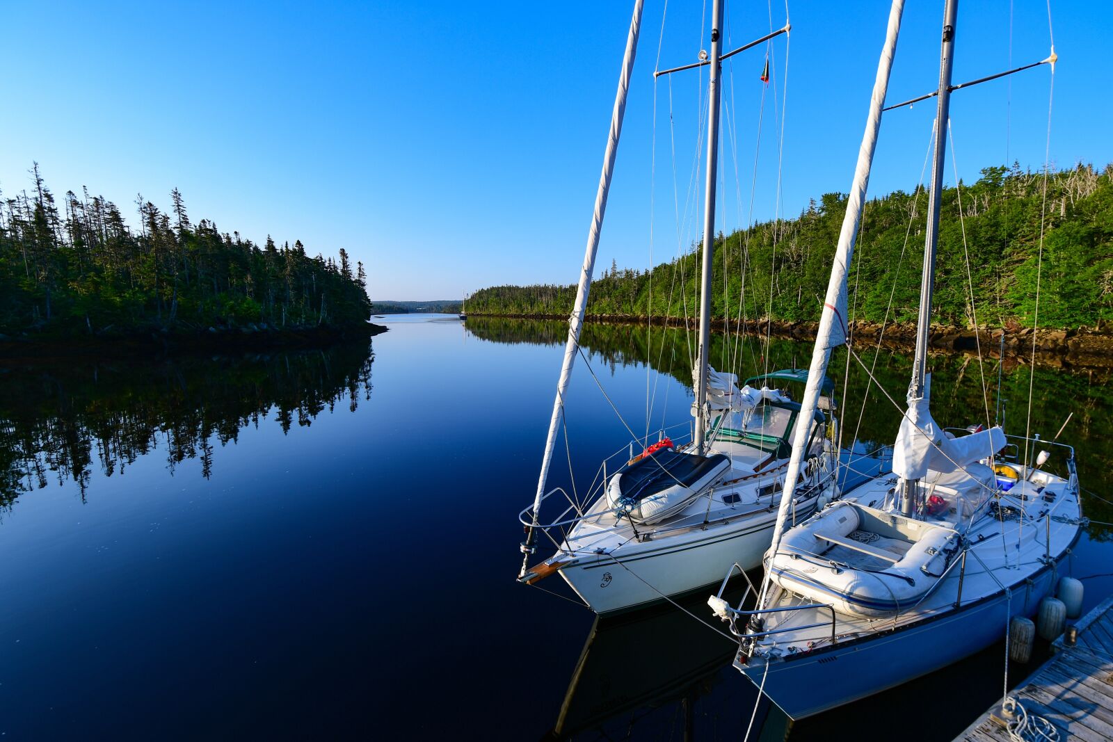 Nikon D500 sample photo. Boat, calm, port photography