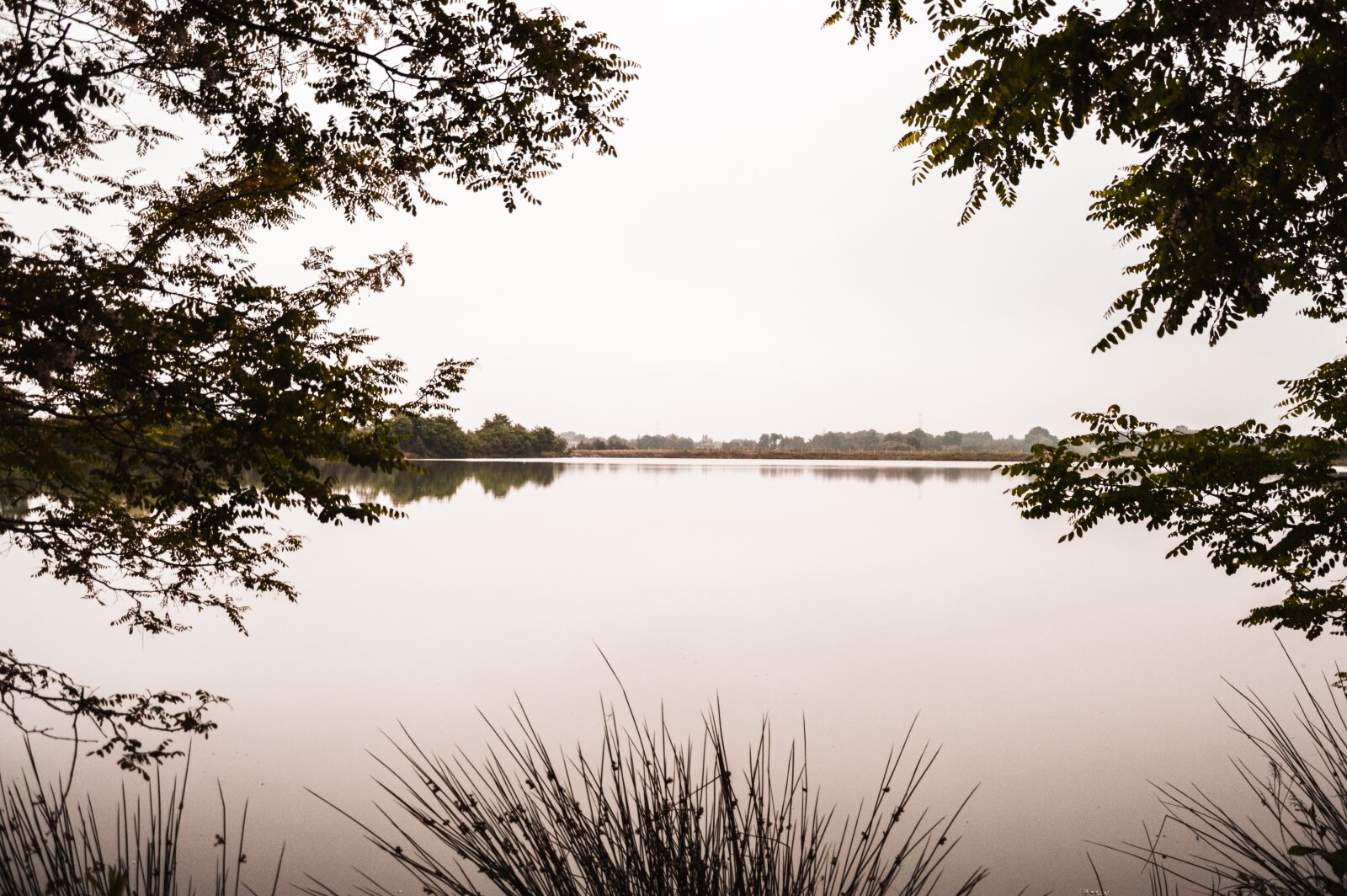 Nikon D3200 sample photo. Water, pond, lake photography