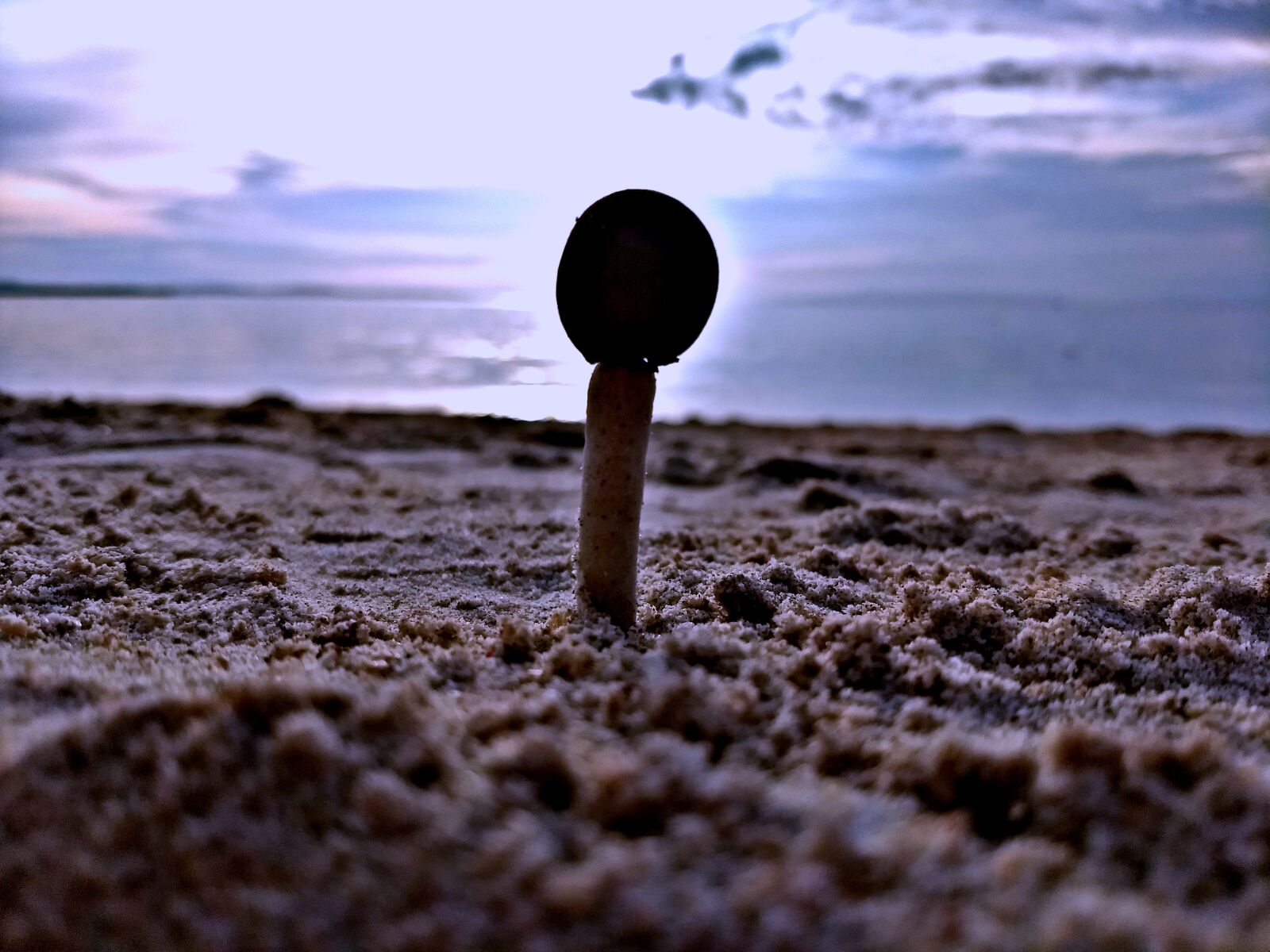 Motorola Moto G (5) Plus sample photo. Focus, beach, stone photography