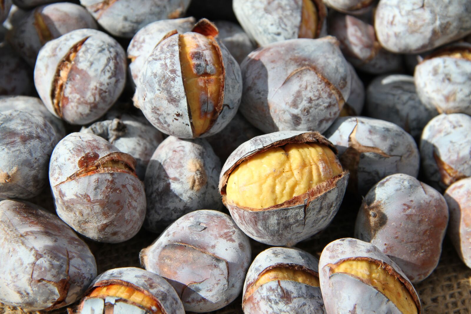 Canon EOS 7D sample photo. Chestnuts, roasted chestnuts photography