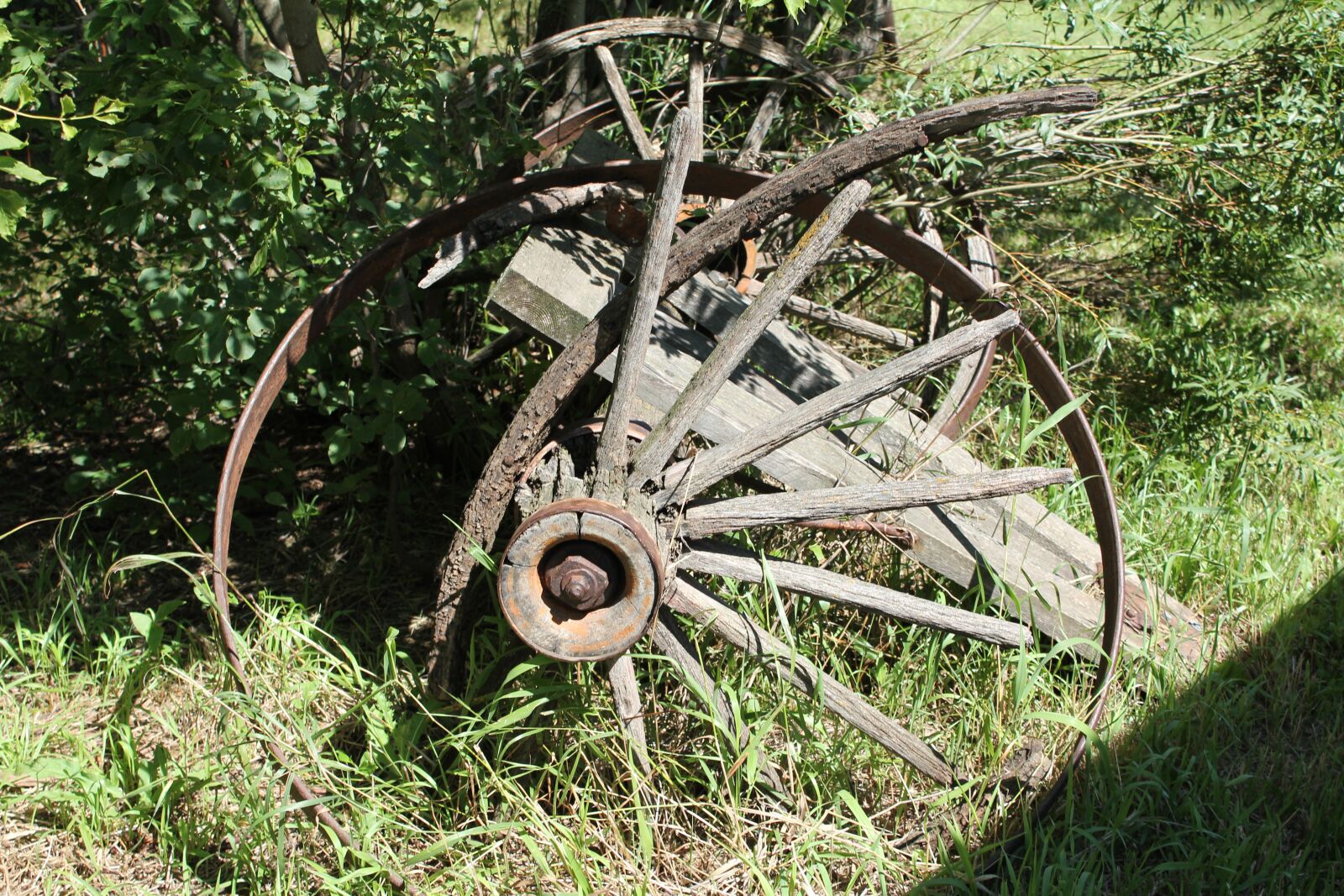 Canon EOS 550D (EOS Rebel T2i / EOS Kiss X4) sample photo. Wheel, farm, garden photography