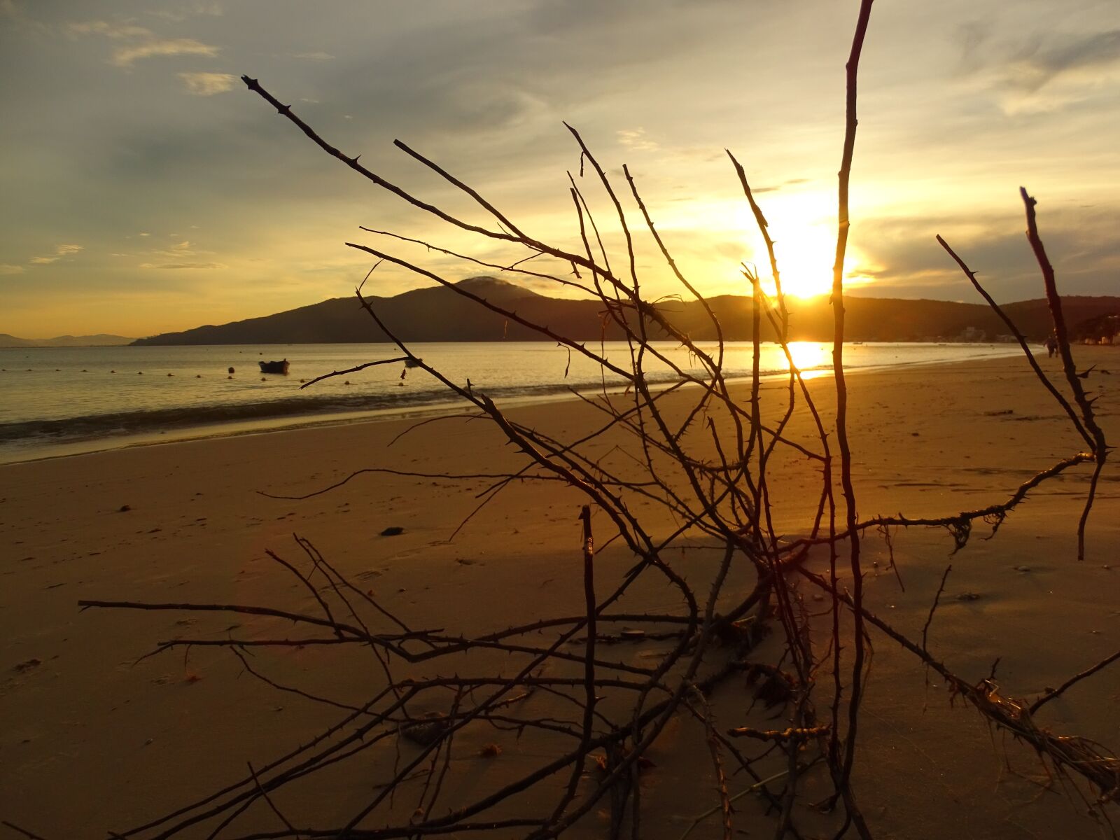 Sony Cyber-shot DSC-HX400V sample photo. Eventide, dusk, twilight photography