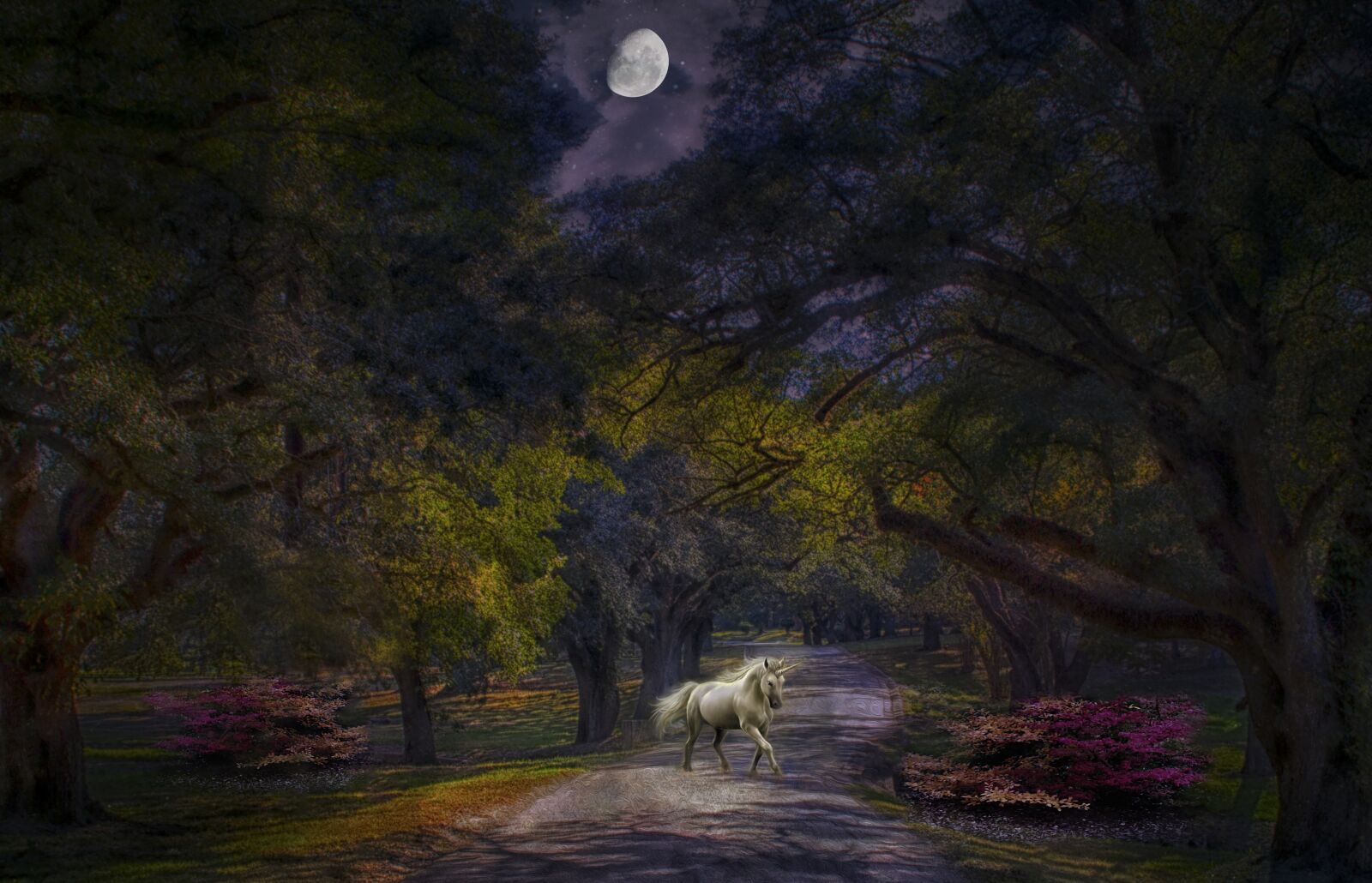 Canon EOS 600D (Rebel EOS T3i / EOS Kiss X5) sample photo. Unicorn, fantasy, magic photography