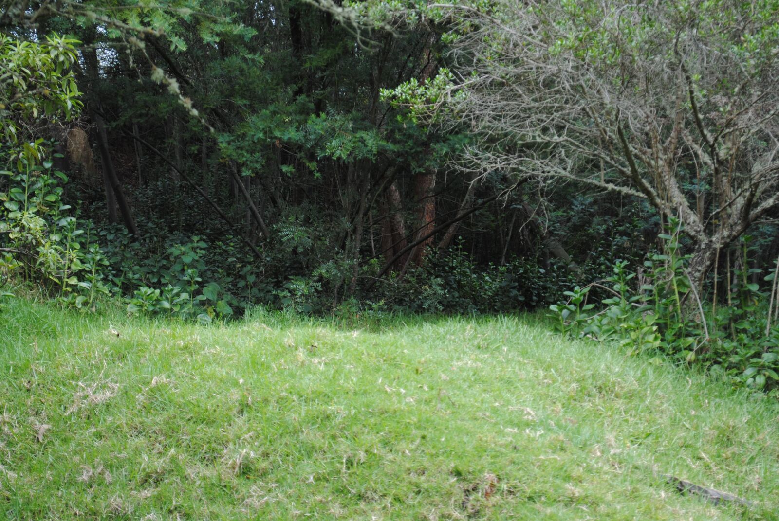 Nikon D3000 sample photo. Landscape, natural, monserrate photography