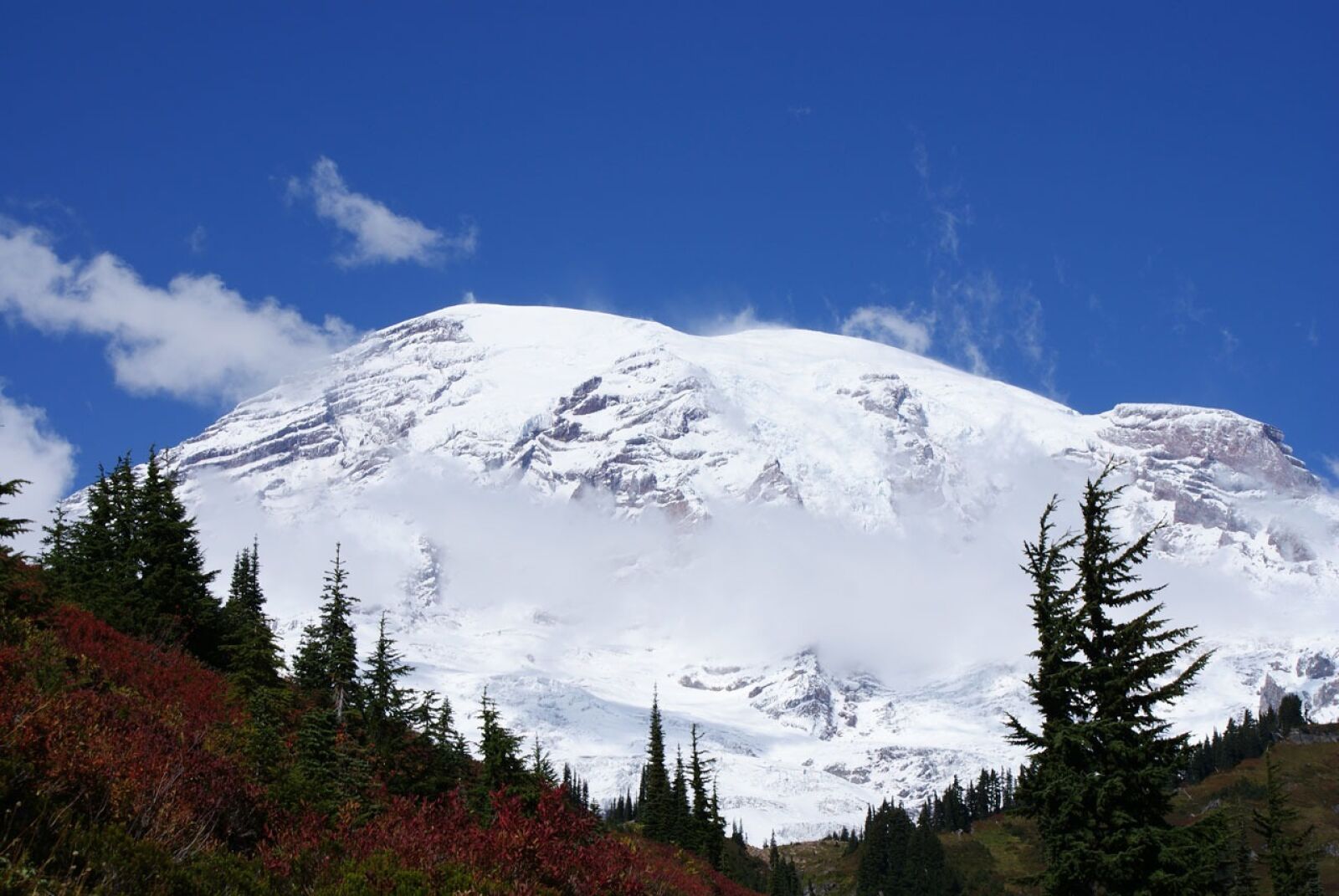 Sony Alpha DSLR-A300 sample photo. Mount, rainier, mountain photography