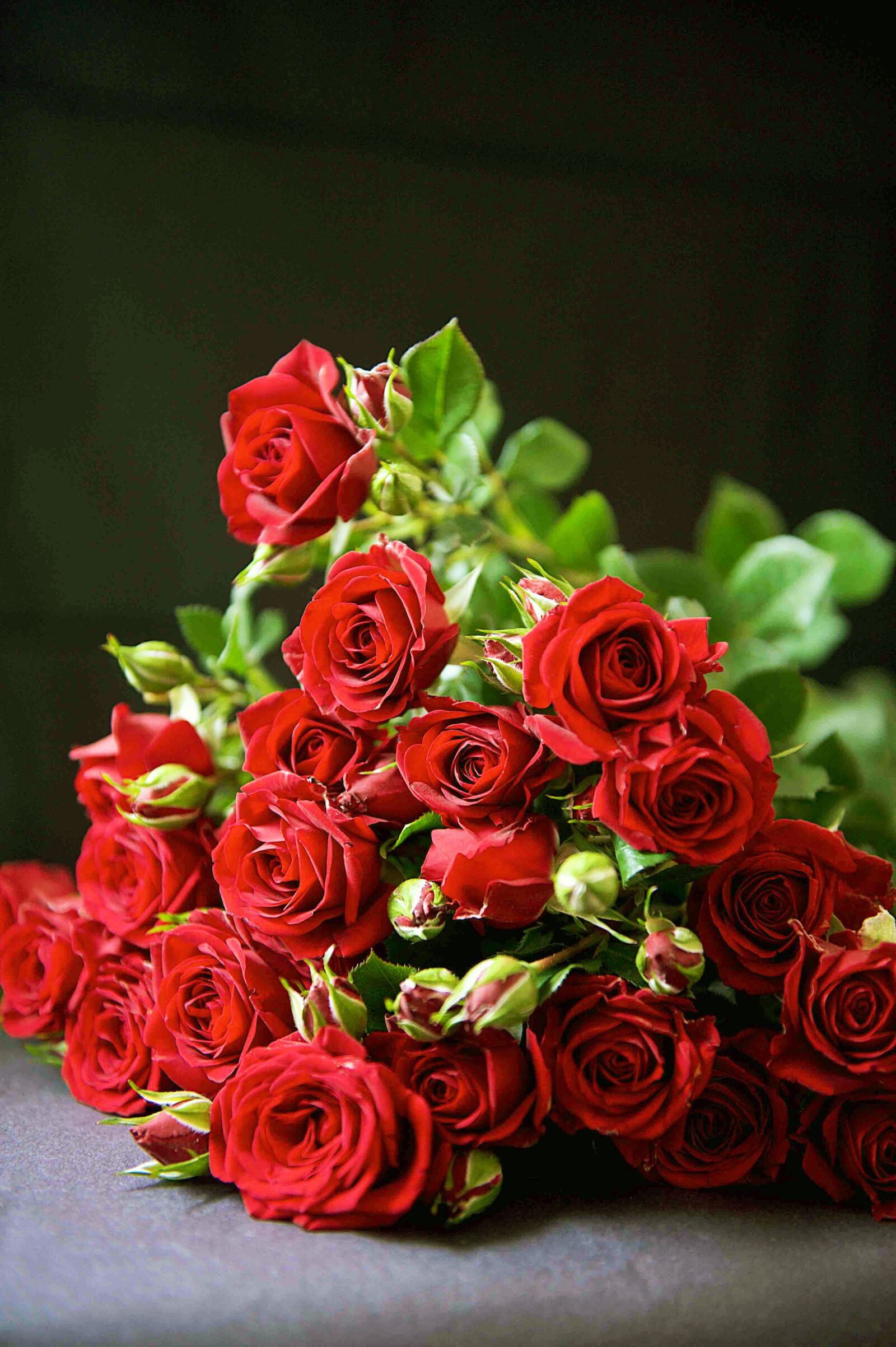 Nikon D700 sample photo. Rose, bouquet, flower photography