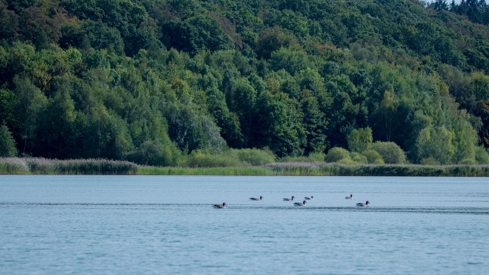 150-600mm F5-6.3 DG OS HSM | Contemporary 015 sample photo. Lake, nature, landscape photography