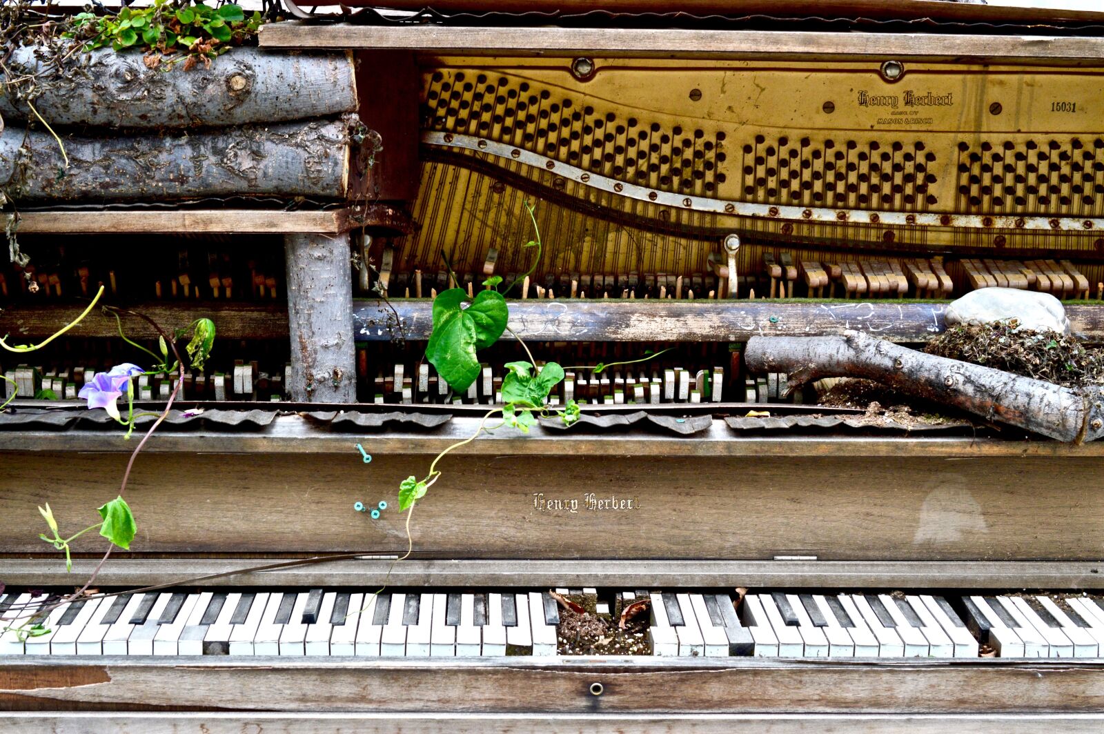 Nikon D3200 sample photo. Piano, broken, old photography