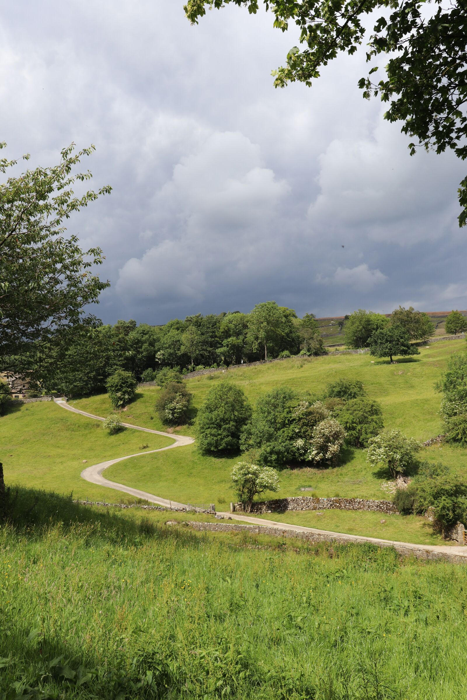 Canon EOS 77D (EOS 9000D / EOS 770D) sample photo. Yorkshire, england, the north photography