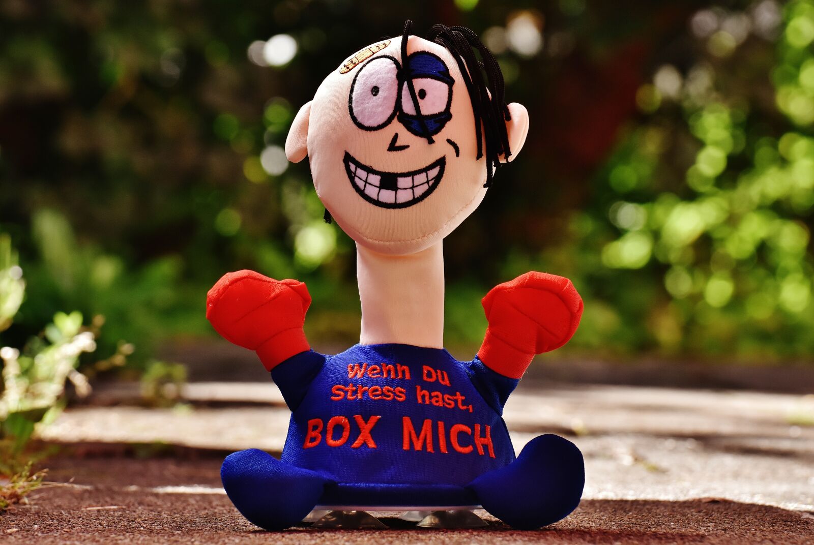 Nikon D7200 sample photo. Anti-stress-doll, box, funny photography