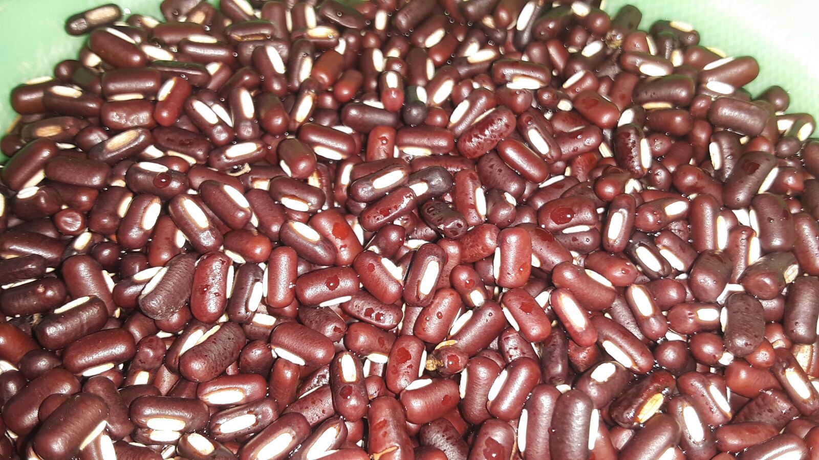 Samsung Galaxy J3 sample photo. Legumes, jerusalem peas, fine photography
