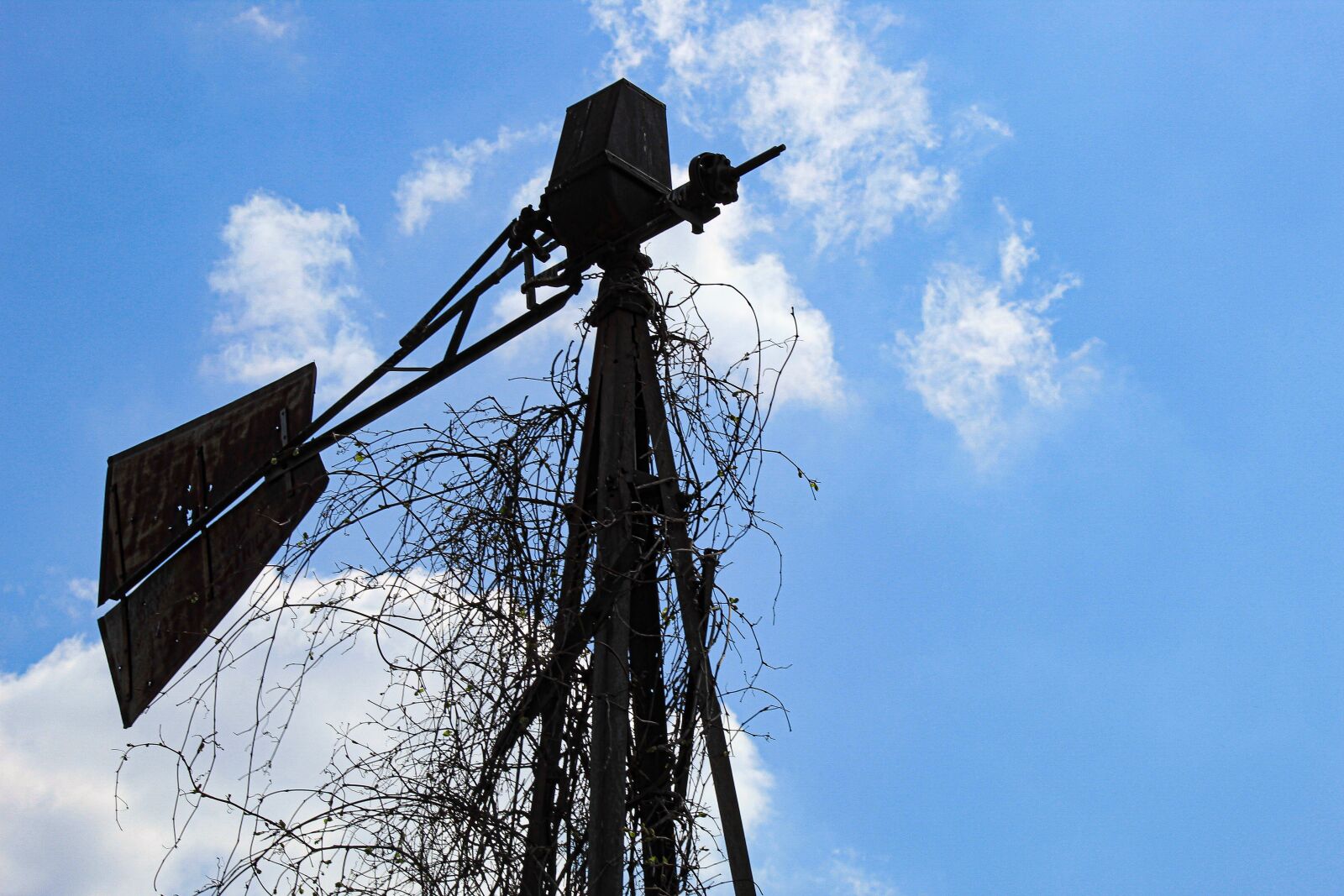 Canon EOS 4000D (EOS Rebel T100 / EOS 3000D) sample photo. Windmill, broken windmill, abandoned photography