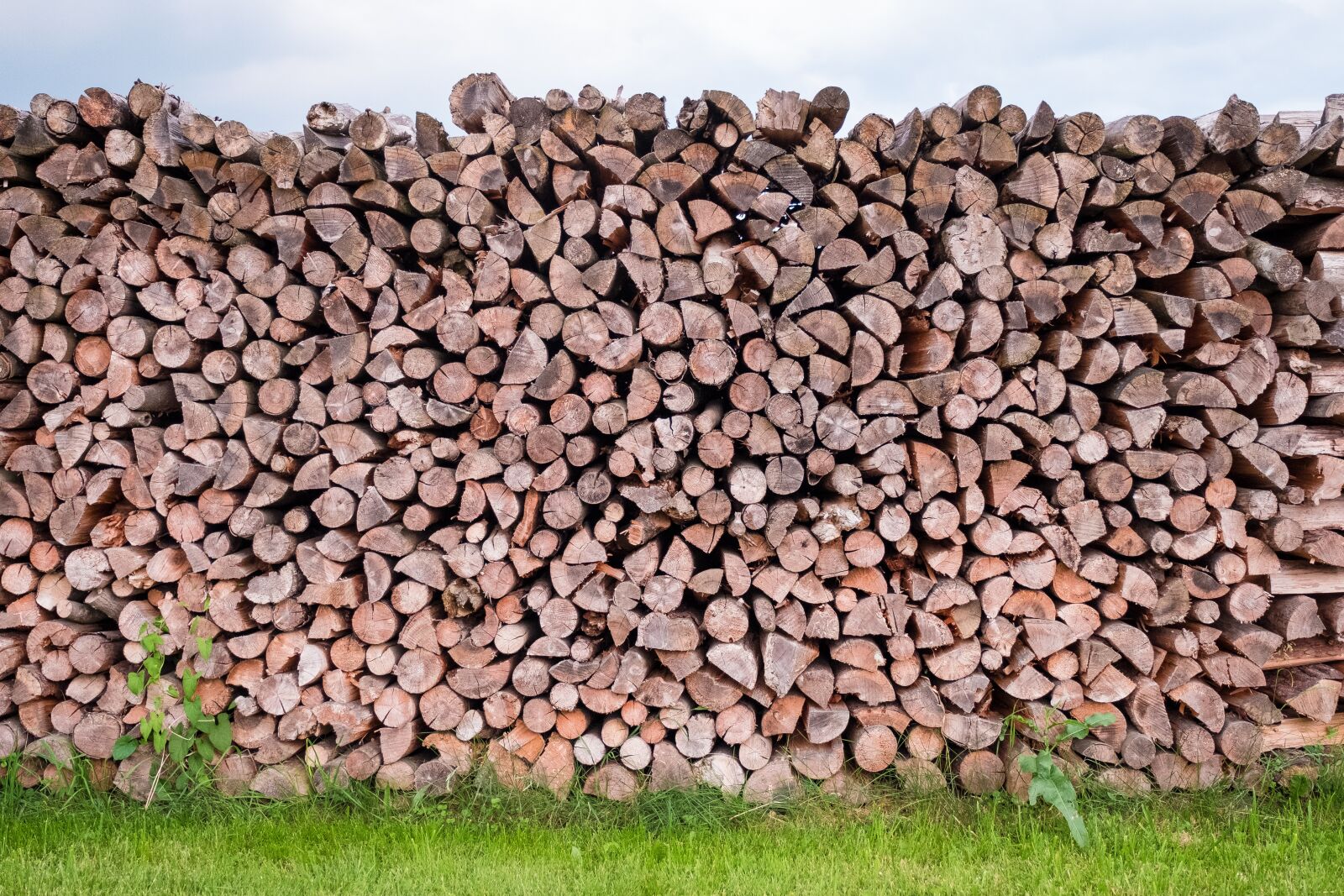 Fujifilm X-T2 sample photo. Pile of wood, wood photography