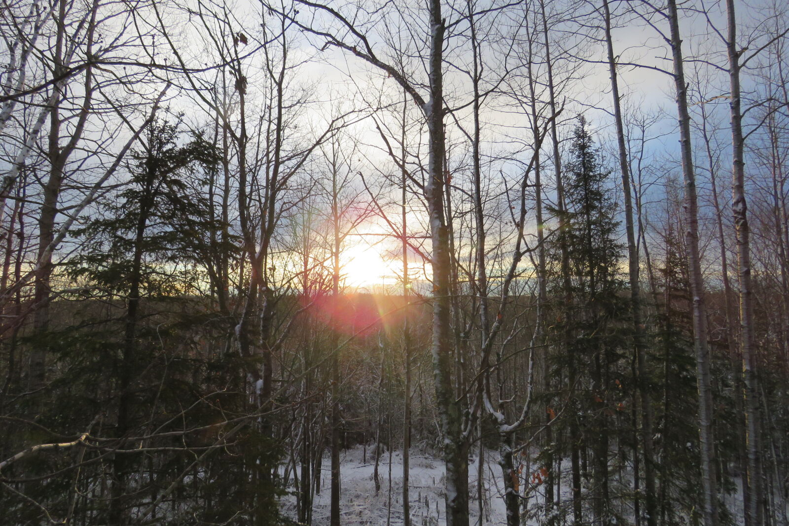 Canon PowerShot SX60 HS sample photo. Cold, morning, snow, sunrise photography